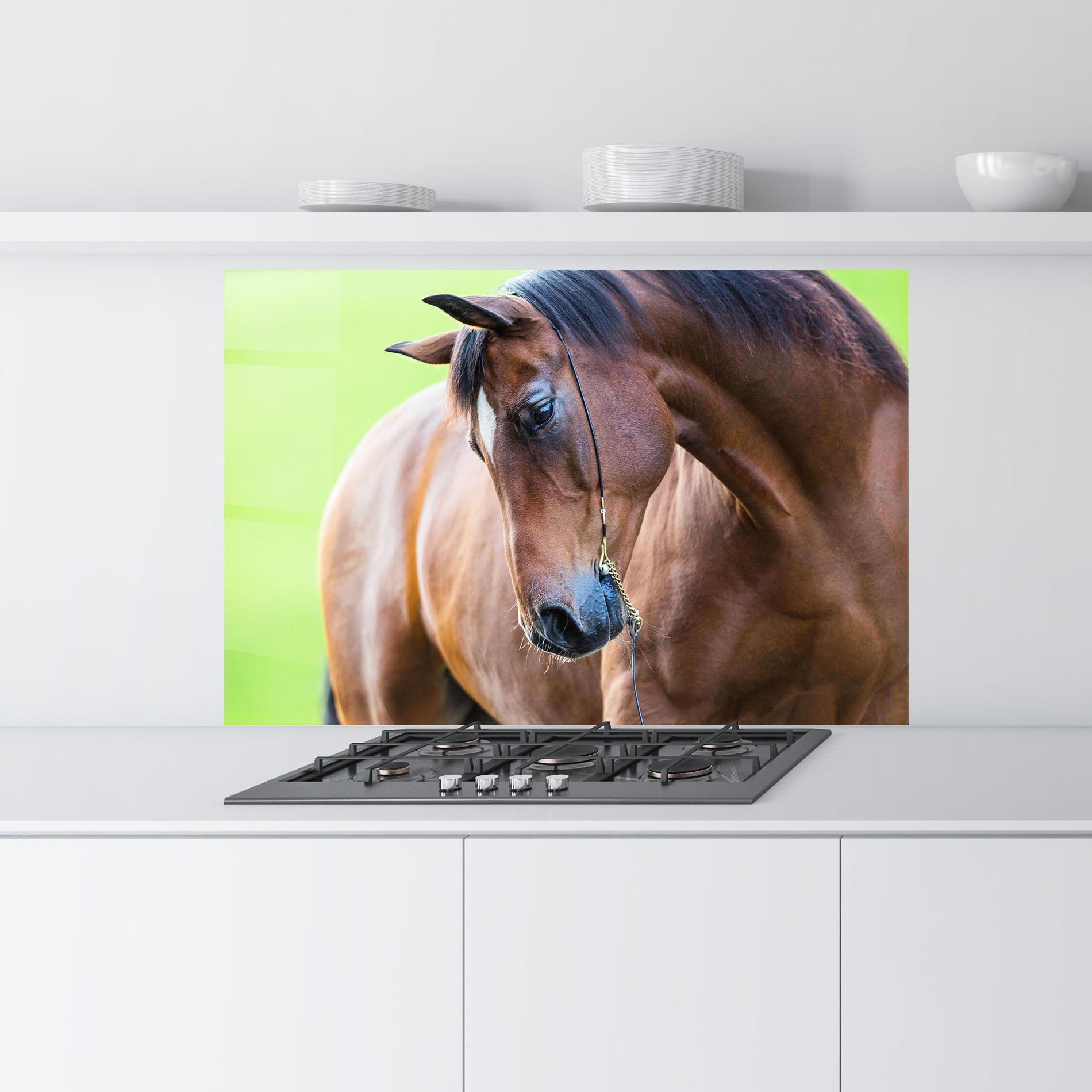 Küchenrückwand Glas Horse Head Portrait mockup 9