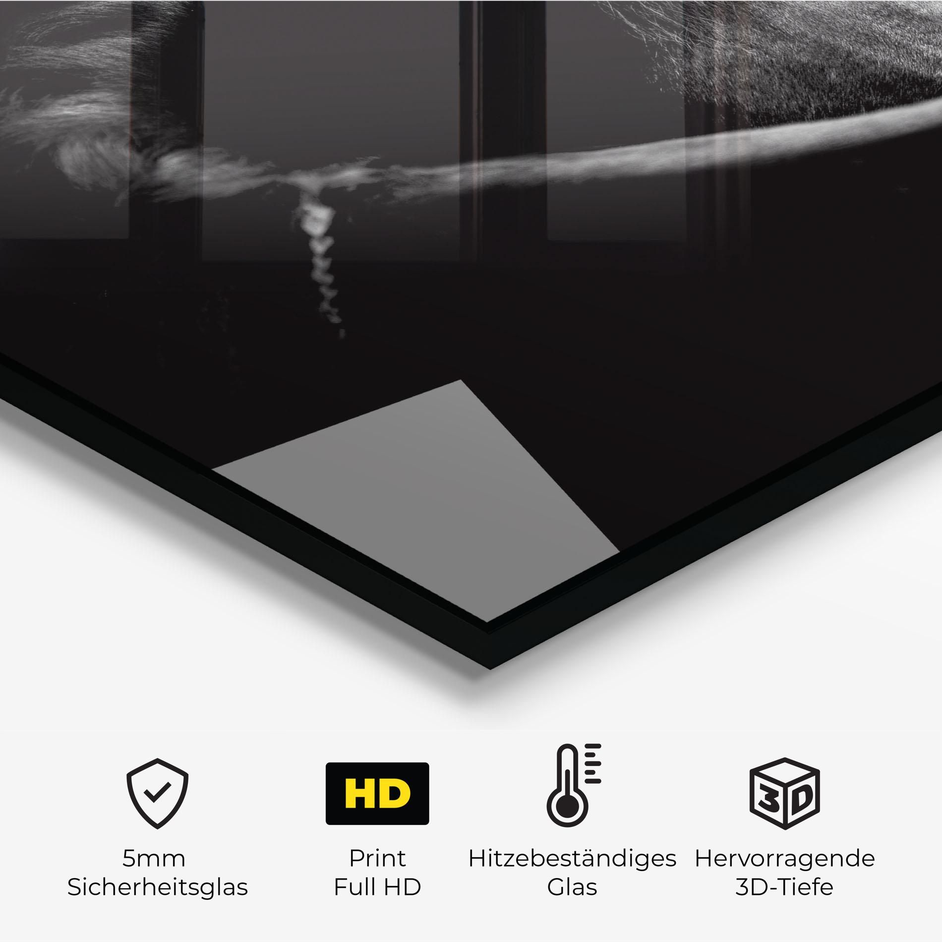 Black Horse Looking mockup 2