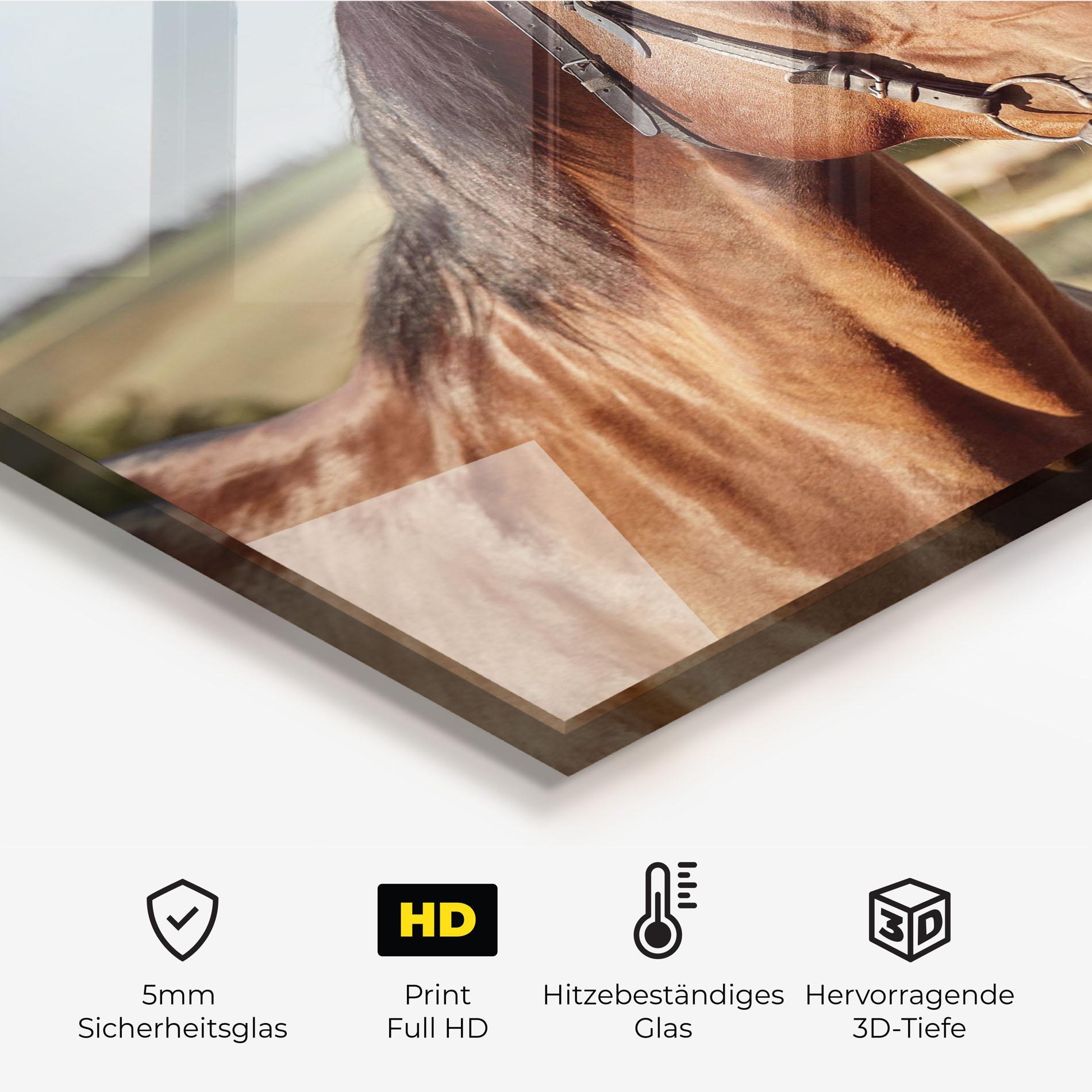 Küchenrückwand Glas Brown Horse Close Up mockup 2