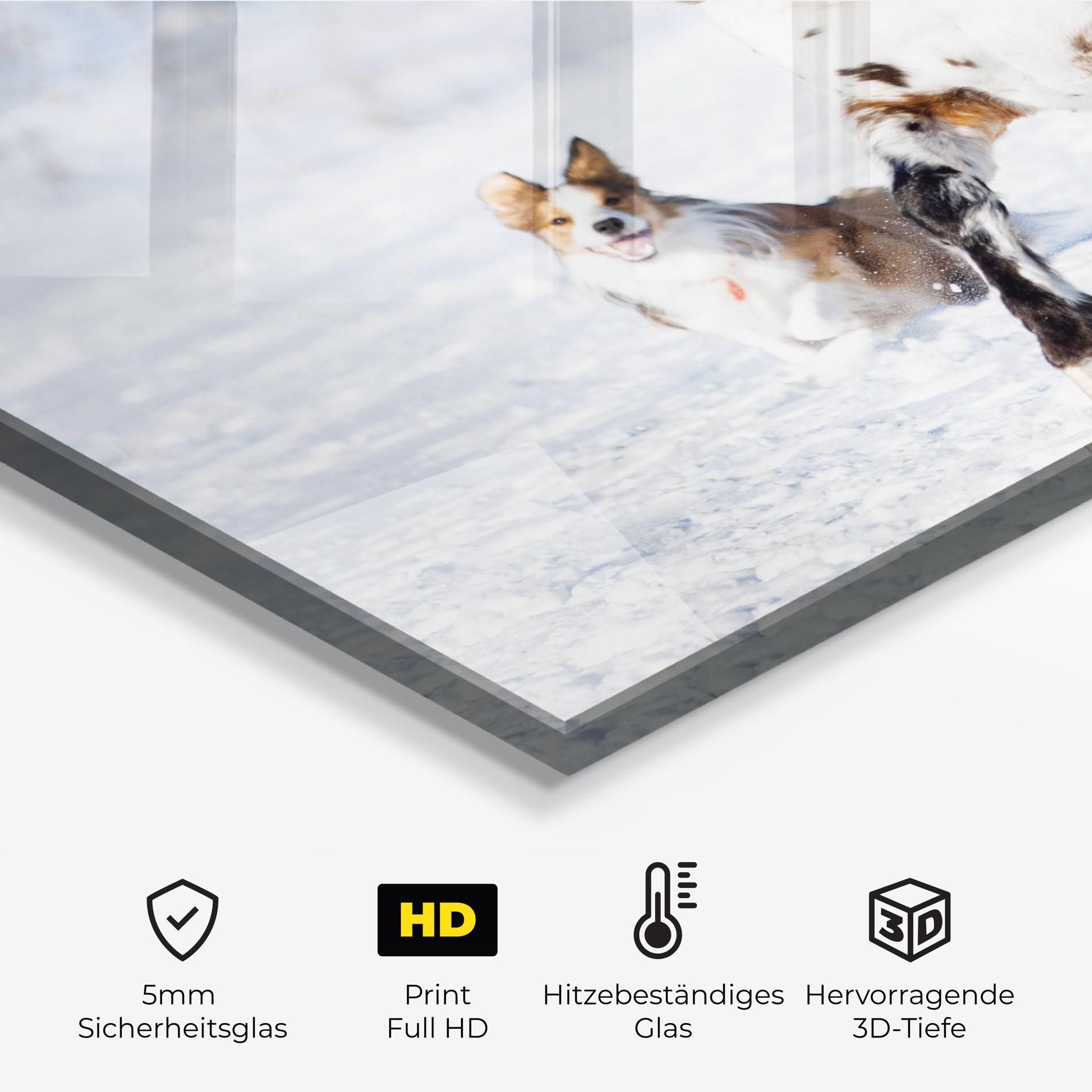 Dog And Horse Running mockup 2