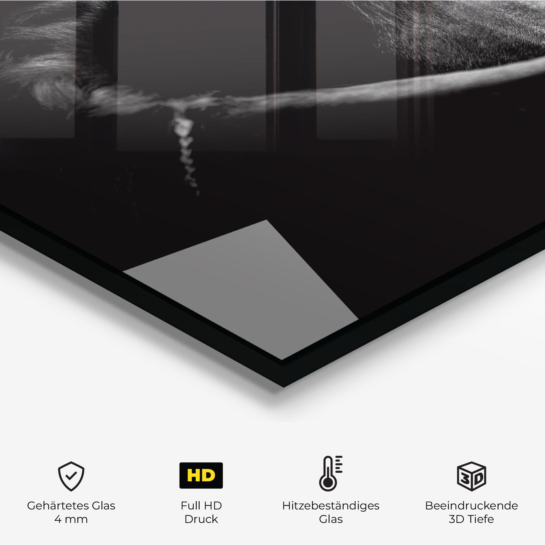 Küchenrückwand Glas Black Horse Looking mockup 2