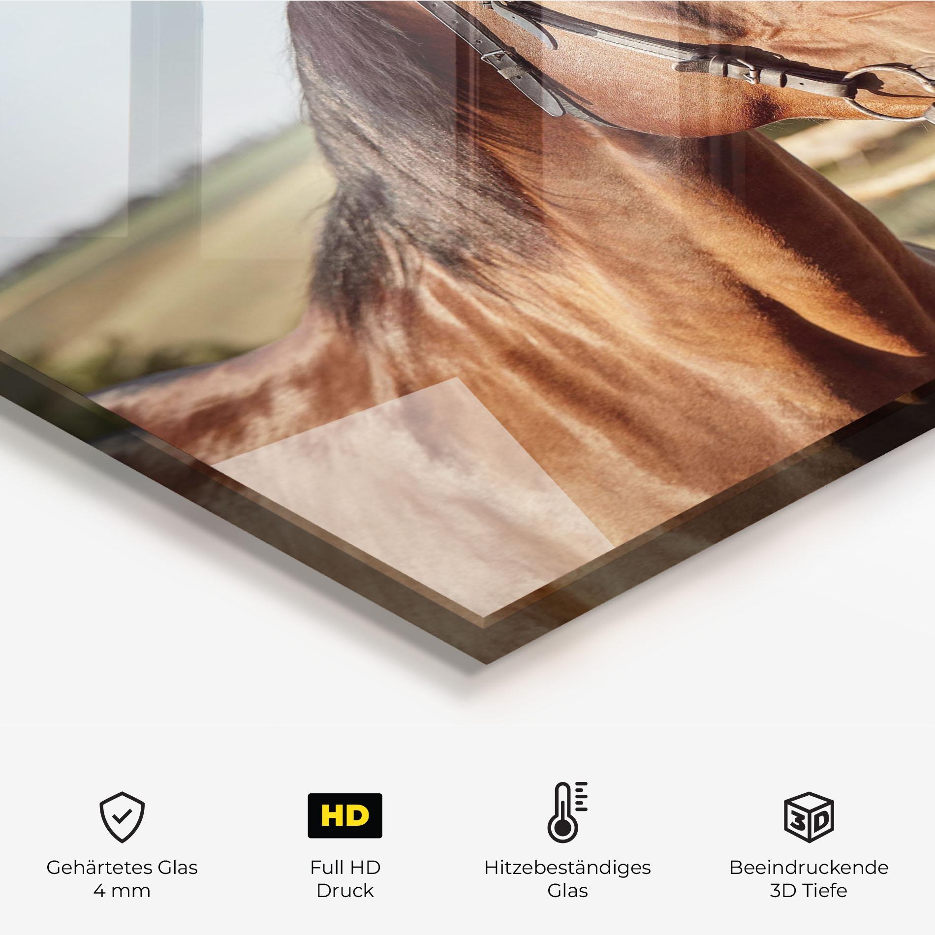 Küchenrückwand Glas Brown Horse Close Up mockup 2