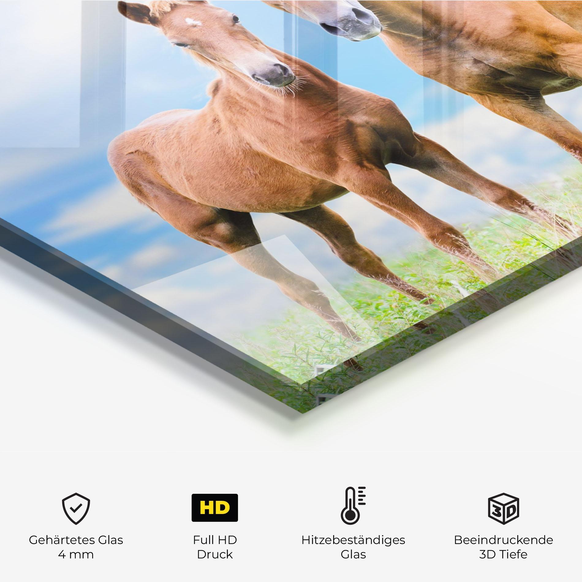 Küchenrückwand Glas Brown Horse Looking mockup 2