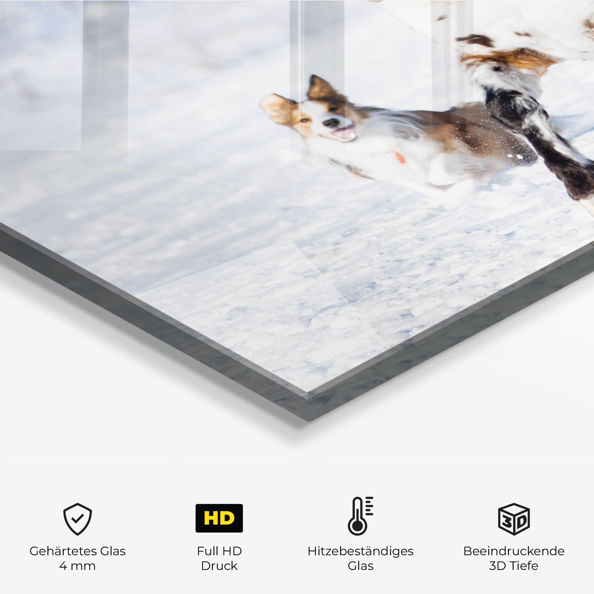 Küchenrückwand Glas Dog And Horse Running mockup 2