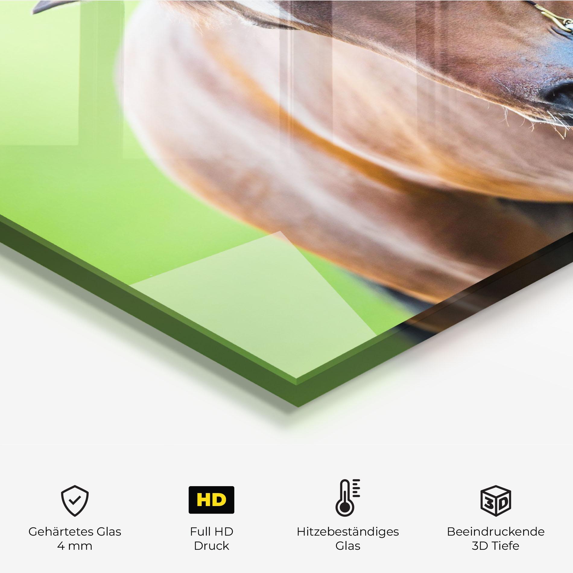 Küchenrückwand Glas Horse Head Portrait mockup 2