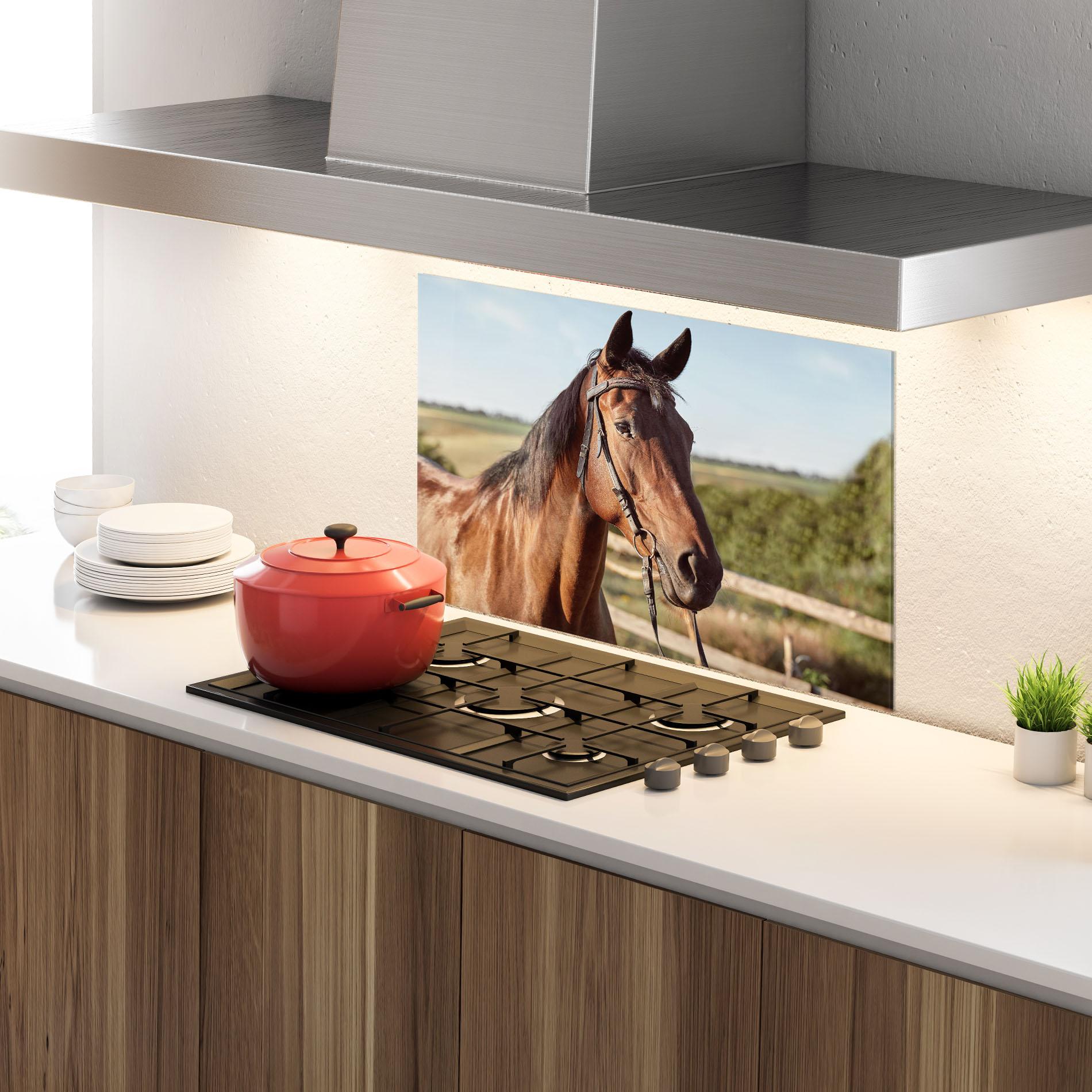 Küchenrückwand Glas Brown Horse Close Up mockup 4