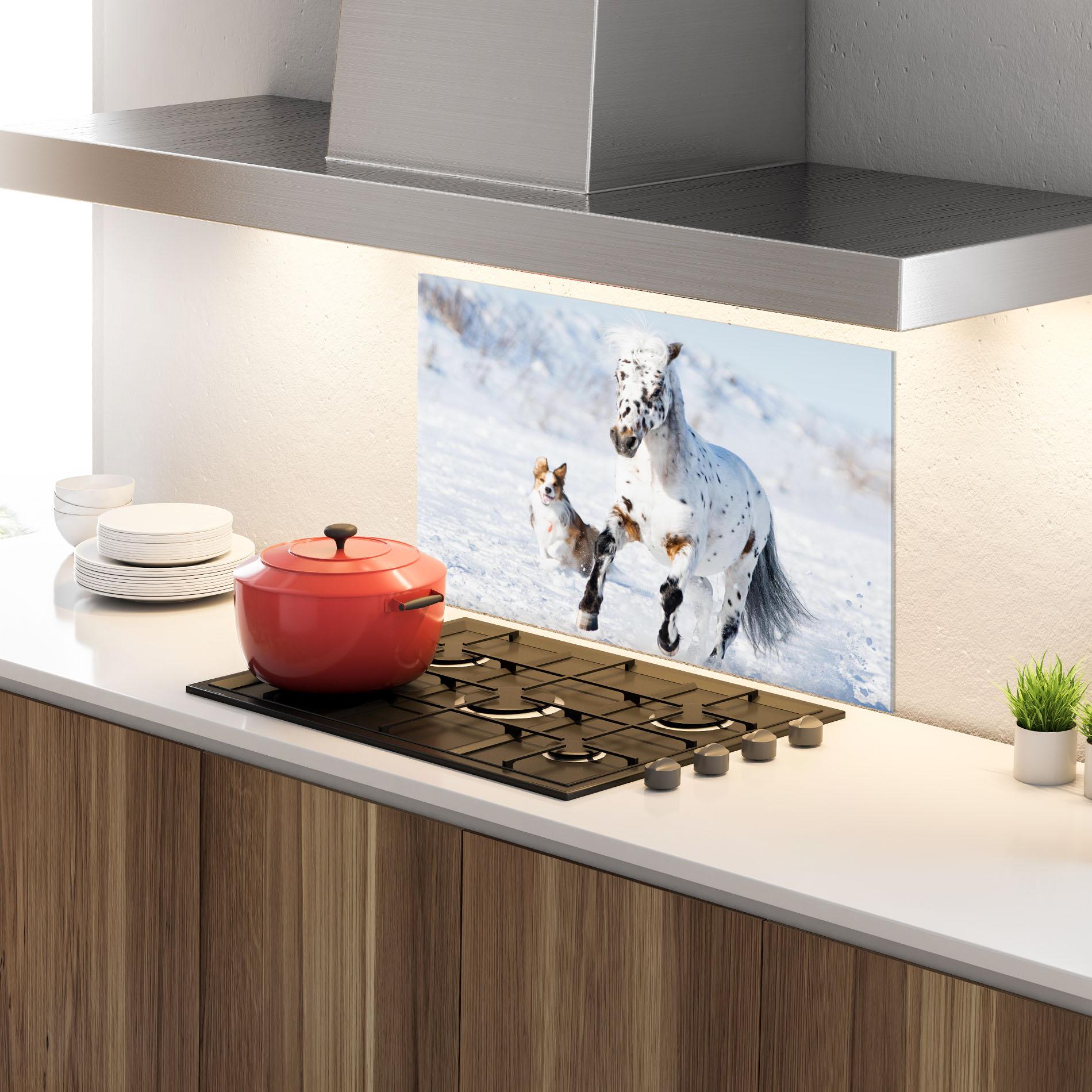 Küchenrückwand Glas Dog And Horse Running mockup 4