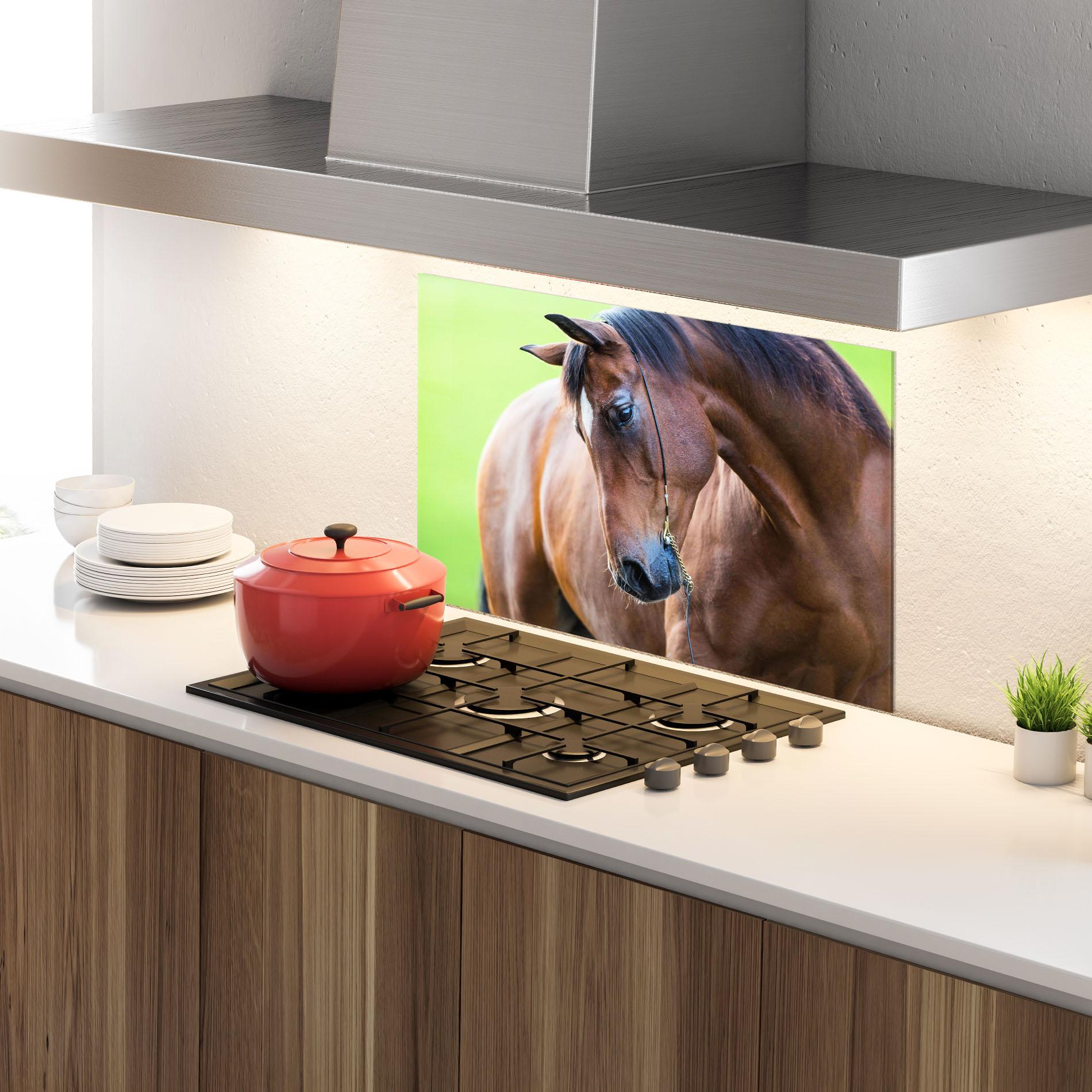 Küchenrückwand Glas Horse Head Portrait mockup 4