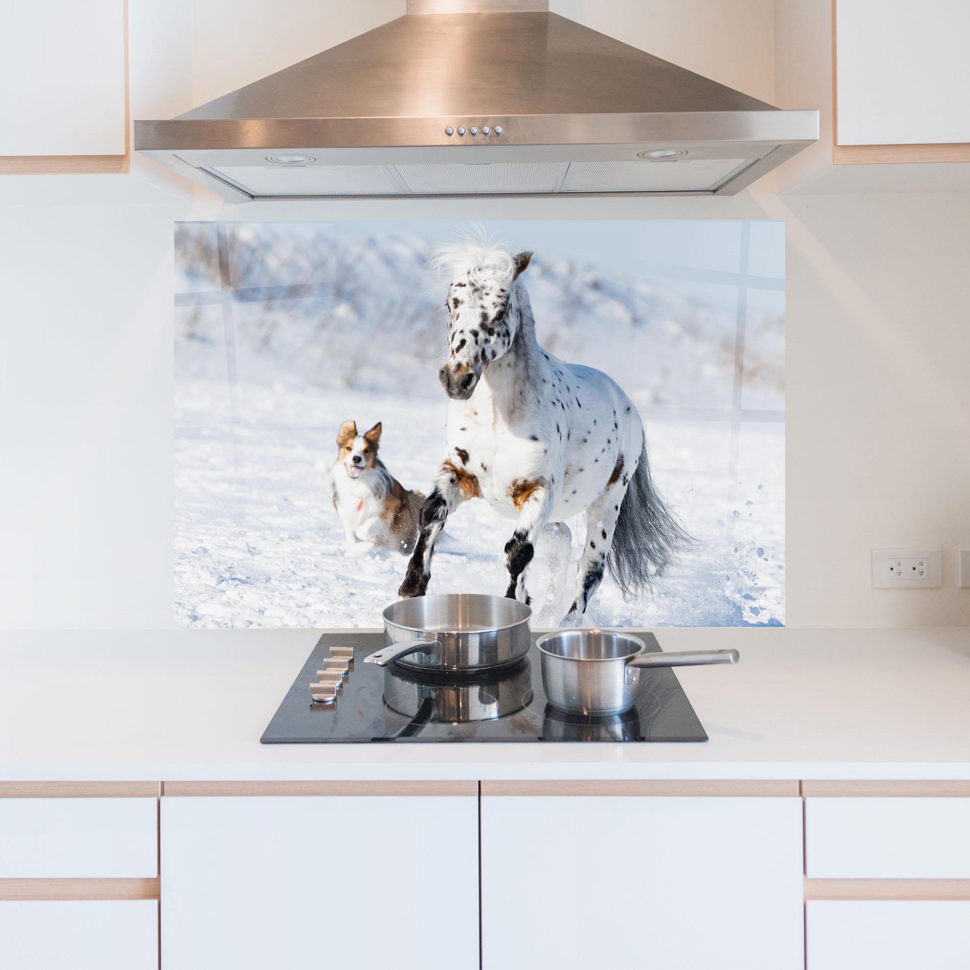 Küchenrückwand Glas Dog And Horse Running mockup 5