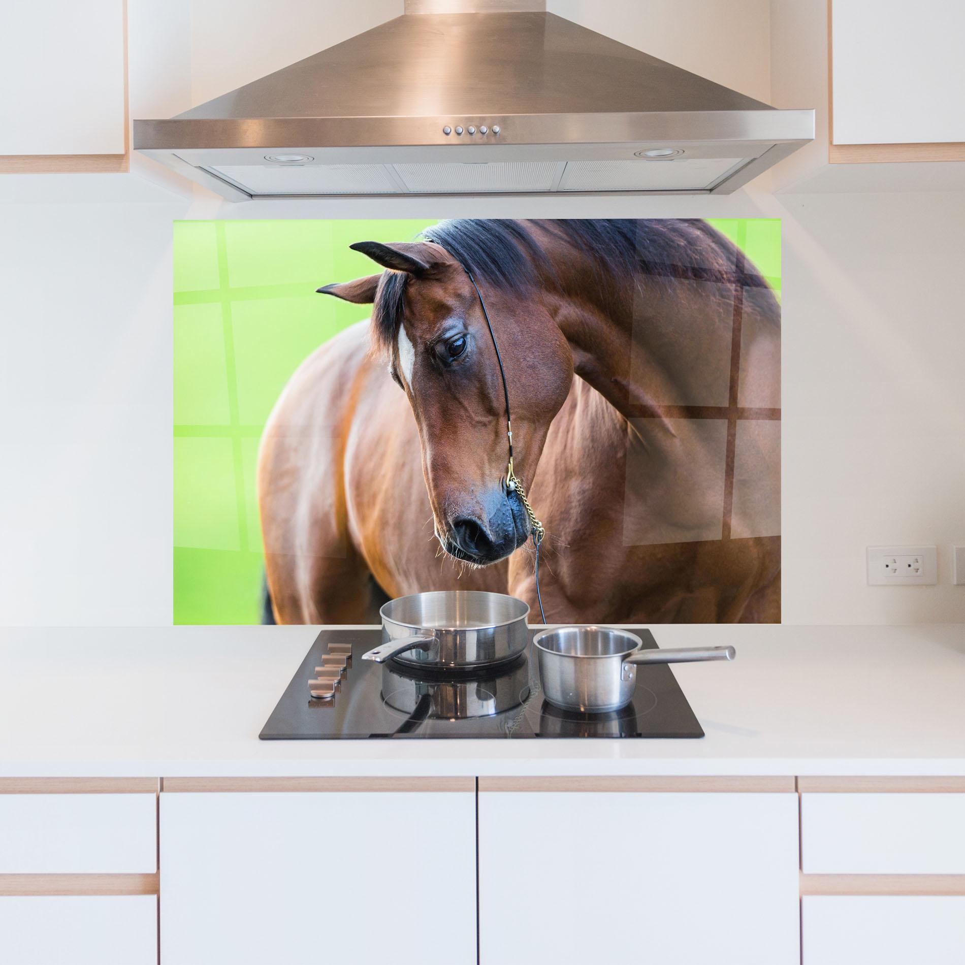 Küchenrückwand Glas Horse Head Portrait mockup 5