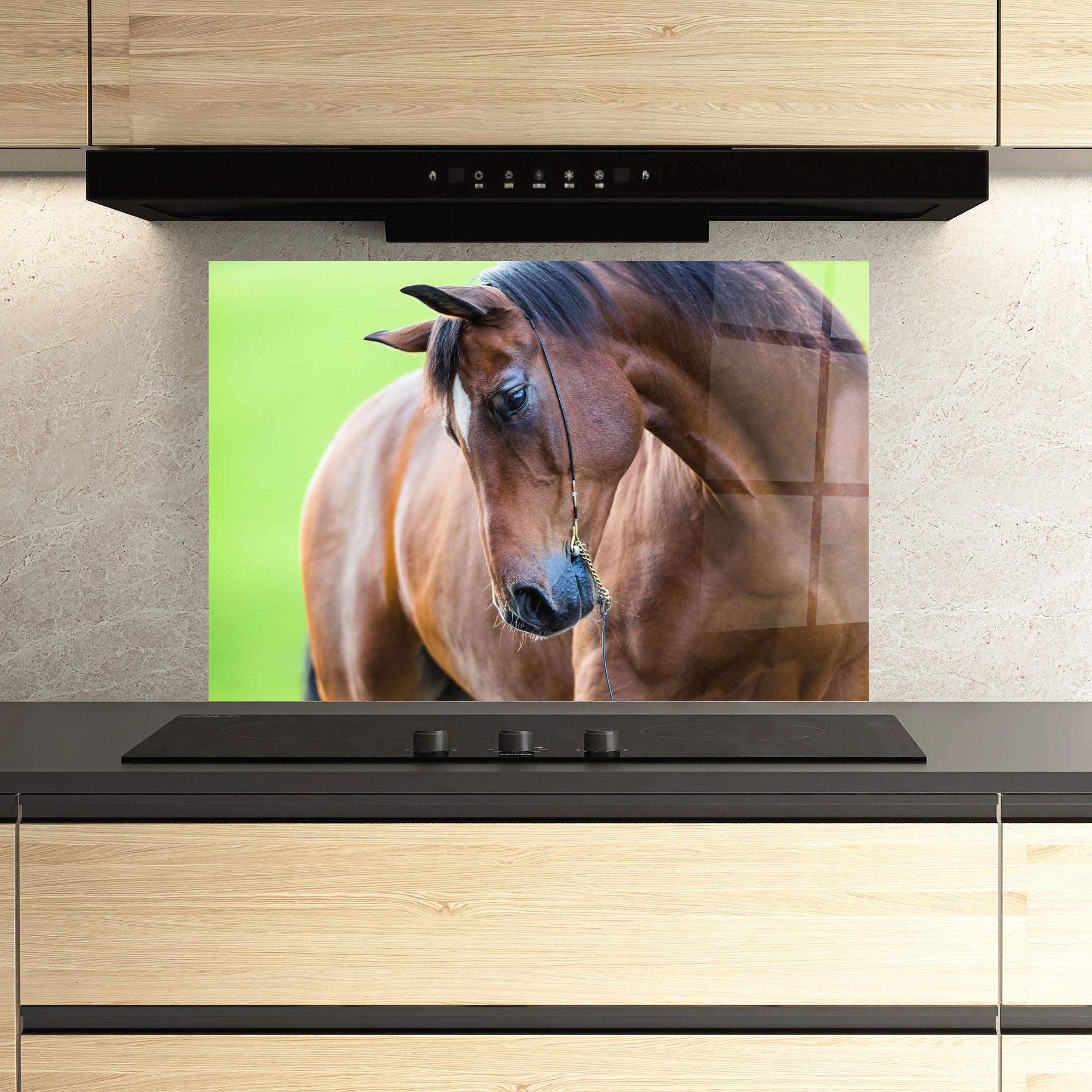 Küchenrückwand Glas Horse Head Portrait mockup 3