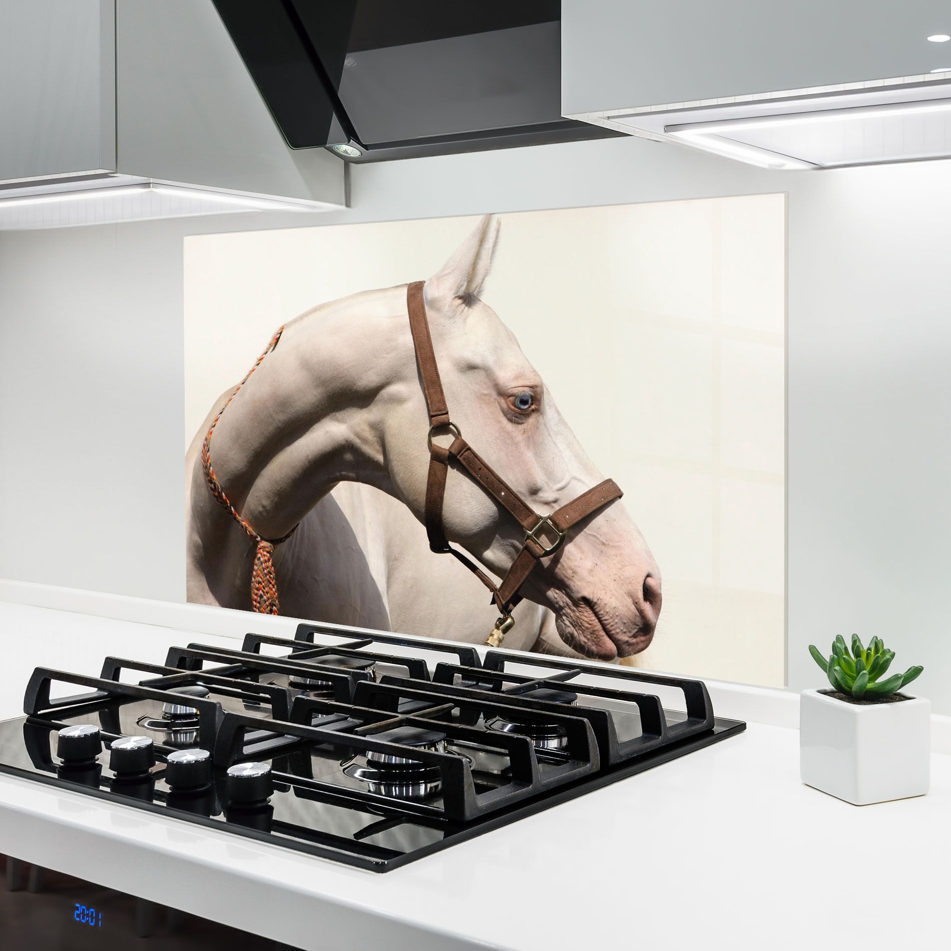 Blue Eye Horse mockup 6