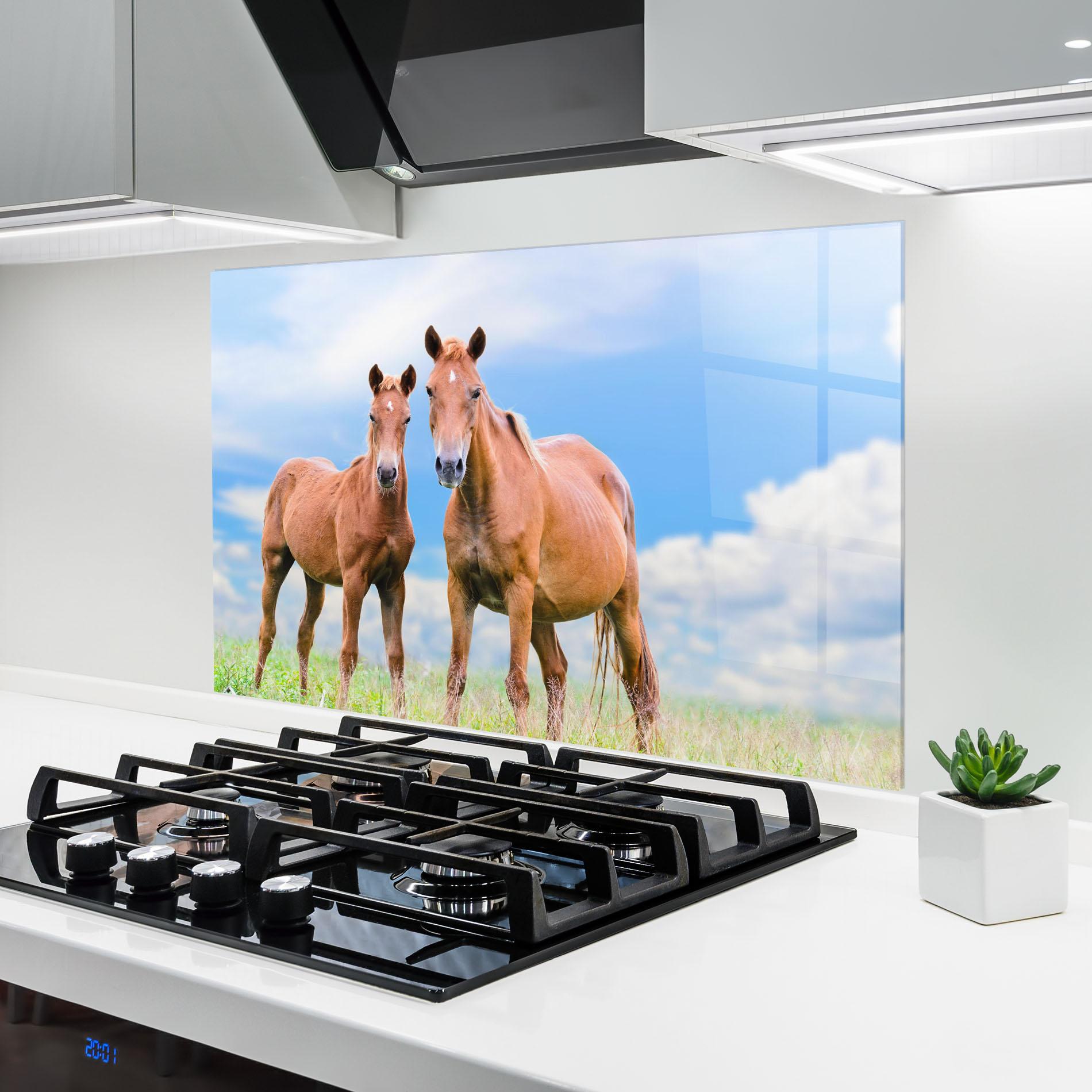 Küchenrückwand Glas Brown Horse Looking mockup 6
