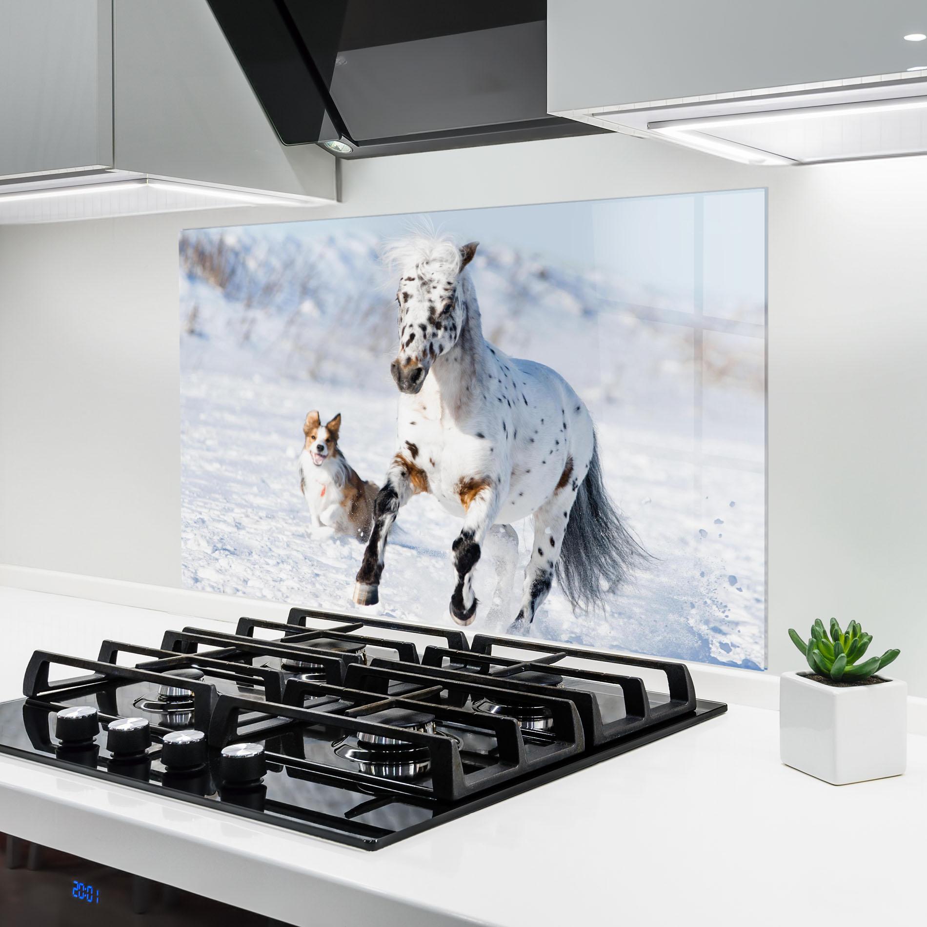Küchenrückwand Glas Dog And Horse Running mockup 6