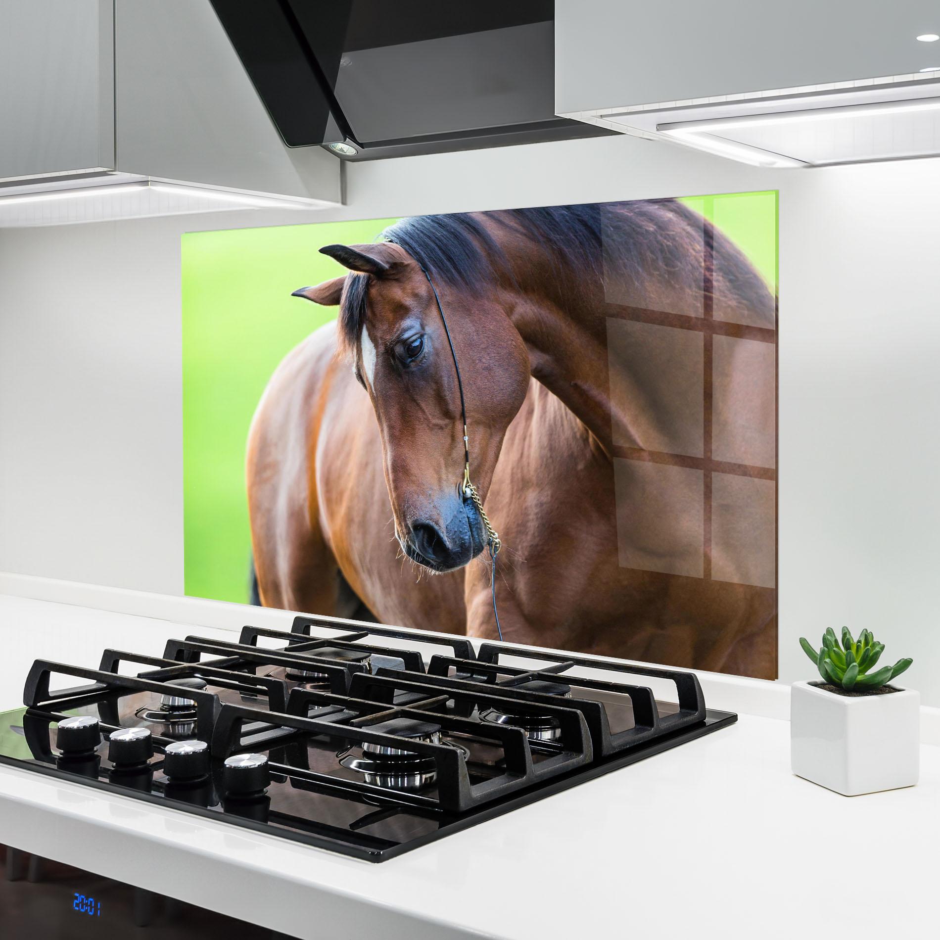 Küchenrückwand Glas Horse Head Portrait mockup 6
