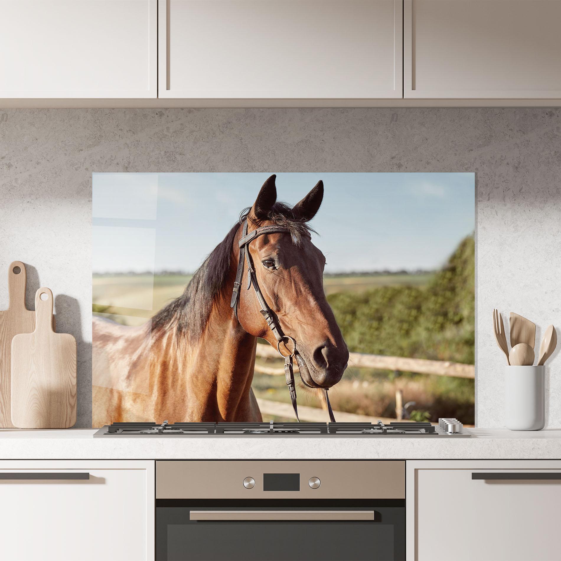 Küchenrückwand Glas Brown Horse Close Up mockup 7