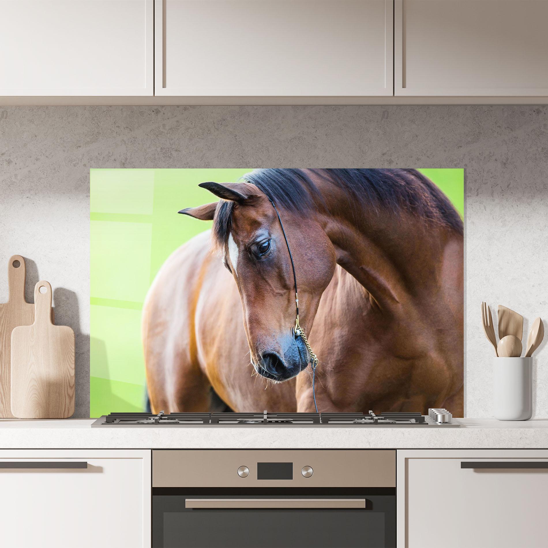 Küchenrückwand Glas Horse Head Portrait mockup 7