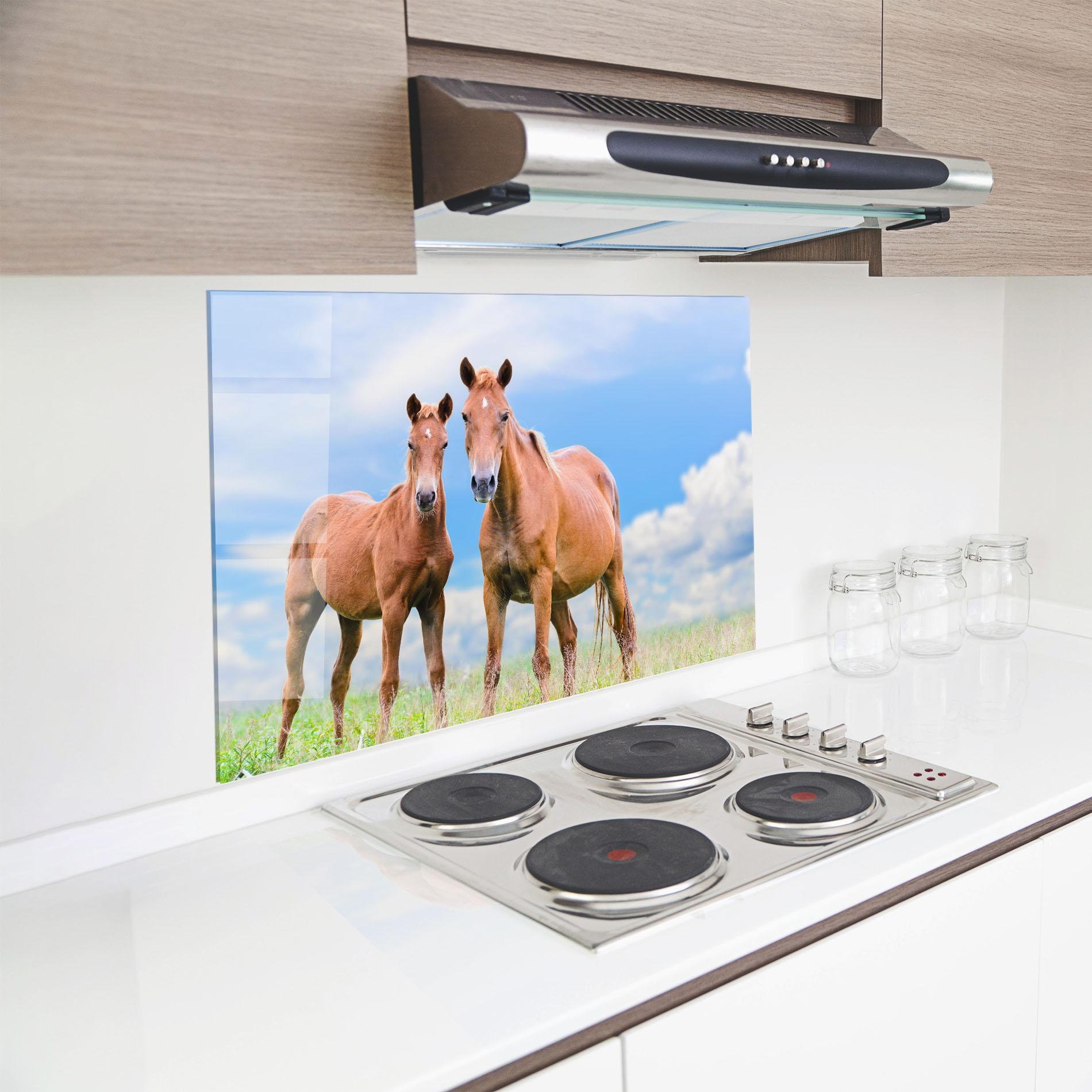 Küchenrückwand Glas Brown Horse Looking mockup 8