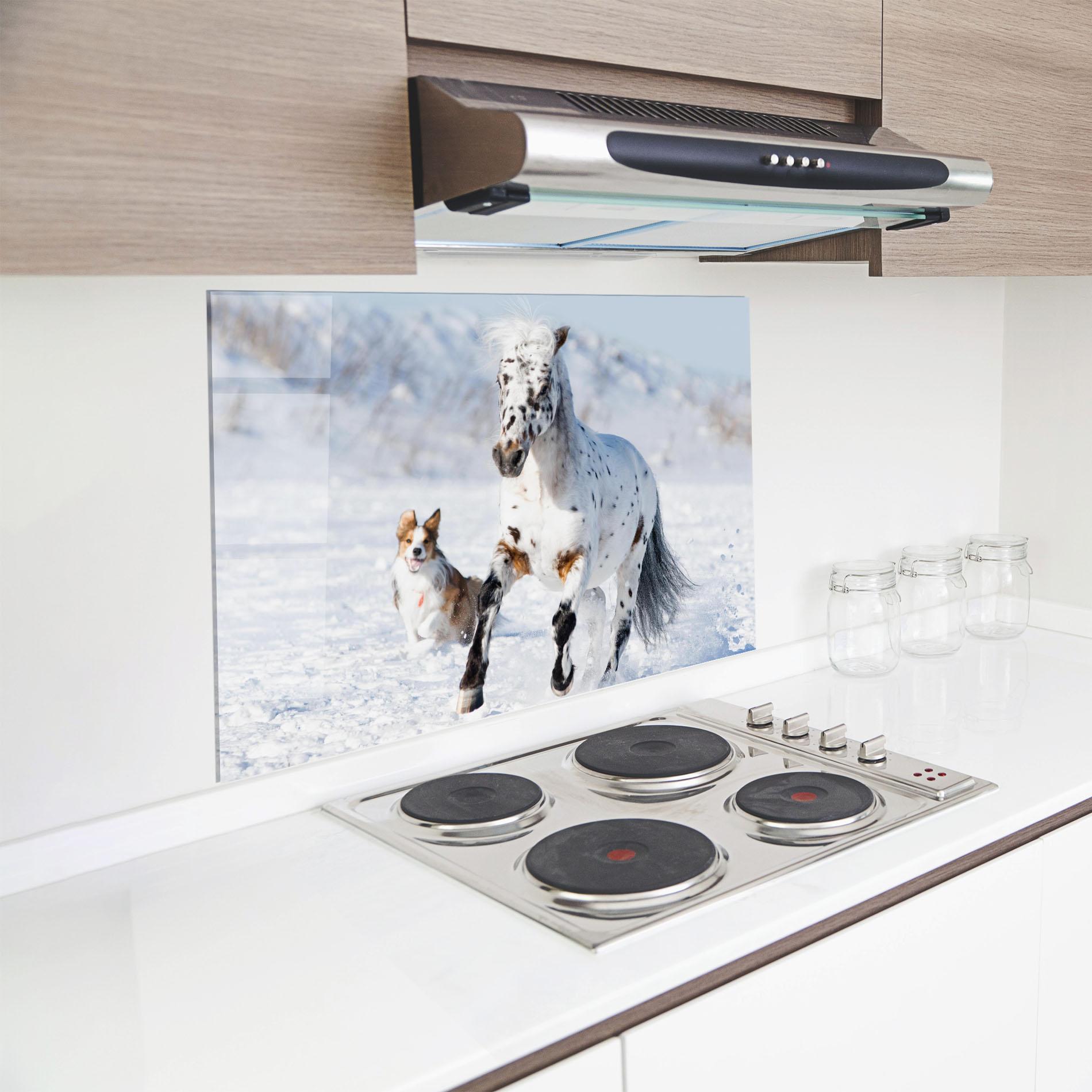Küchenrückwand Glas Dog And Horse Running mockup 8