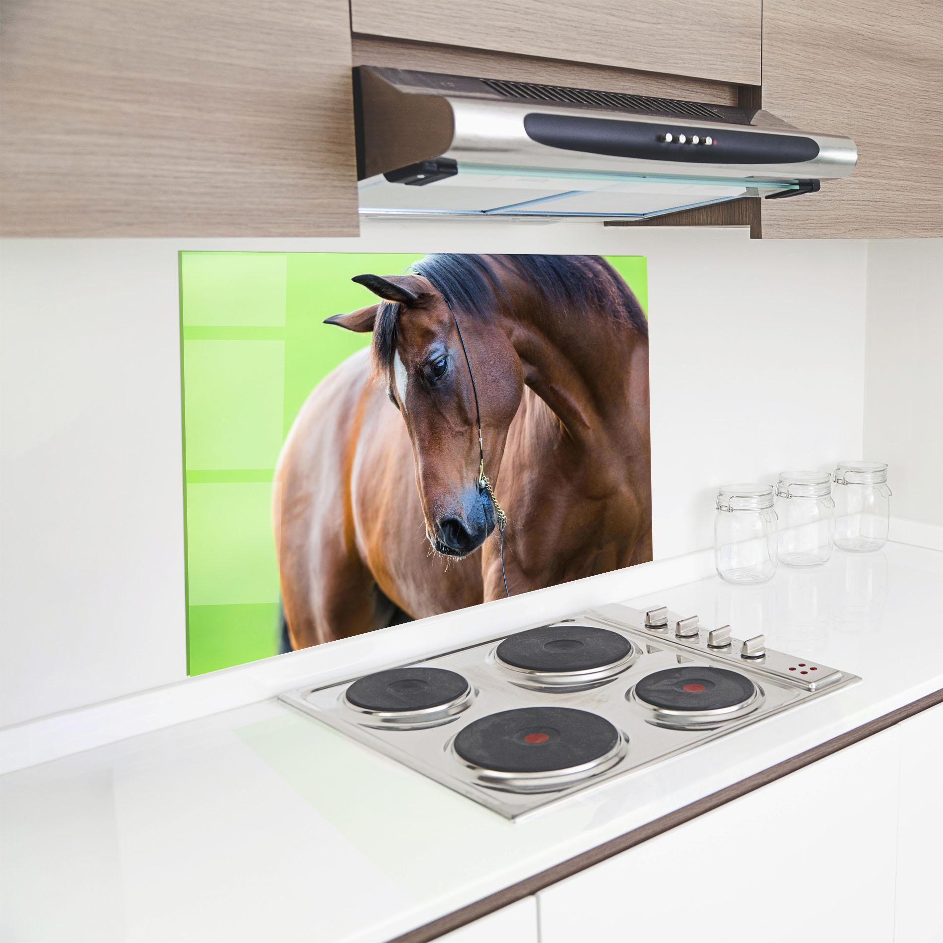 Küchenrückwand Glas Horse Head Portrait mockup 8