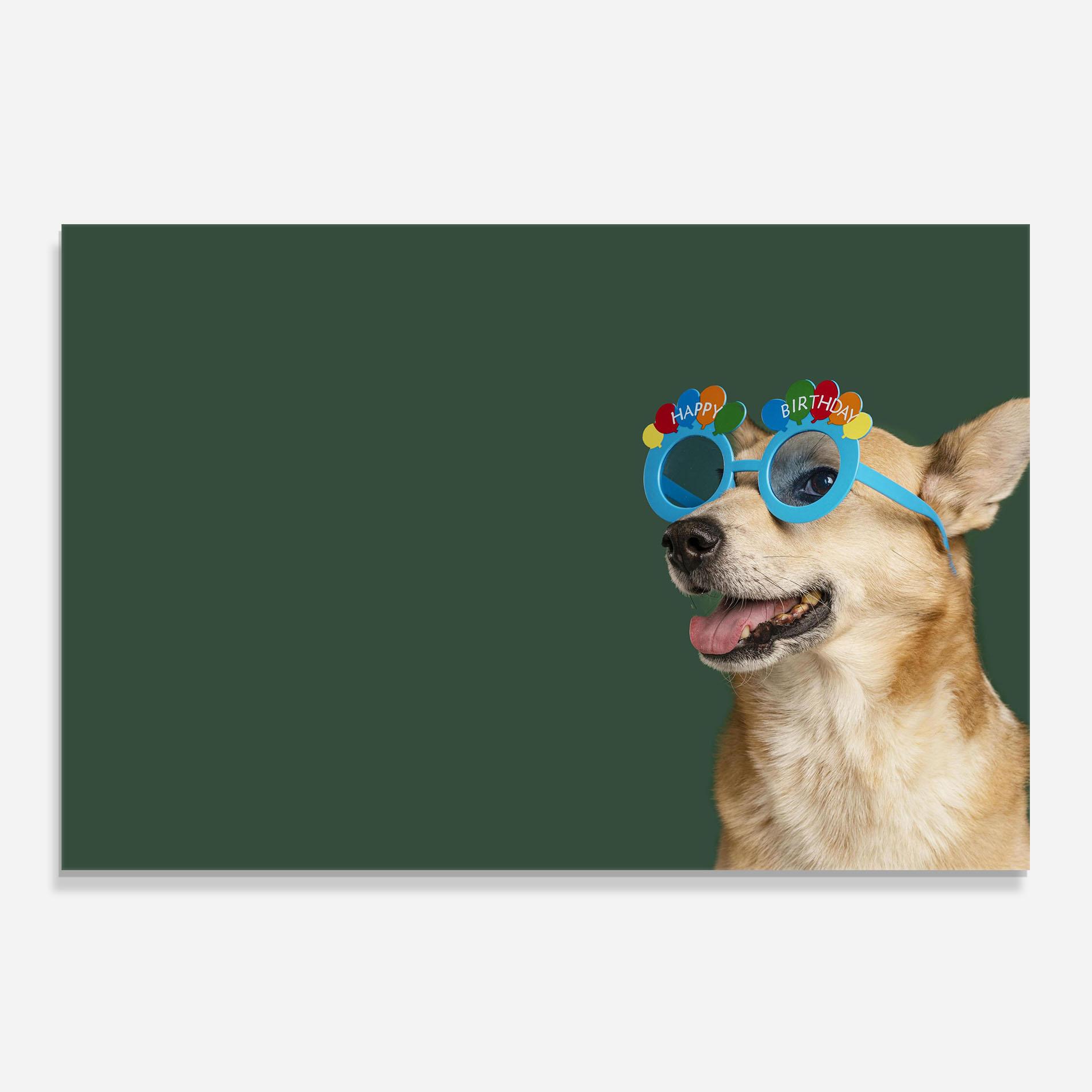 Küchenrückwand Glas Cute Glasses Dog mockup 0
