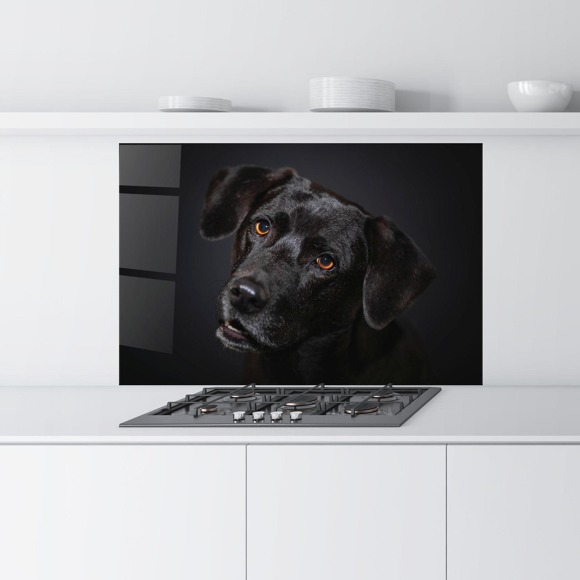 Küchenrückwand Glas Black Dog Portrait mockup 9