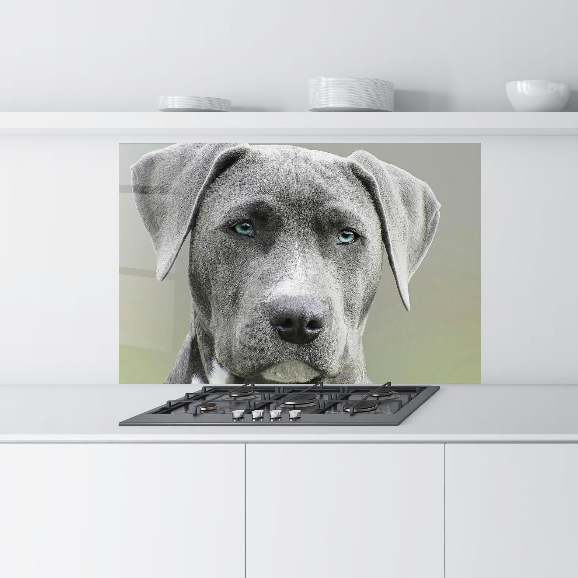 Küchenrückwand Glas Blue Eyes Dog mockup 9