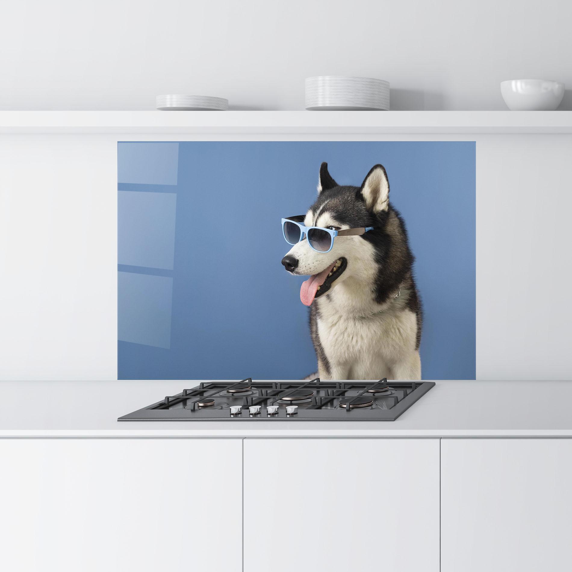 Küchenrückwand Glas Blue Glasses Dog mockup 9