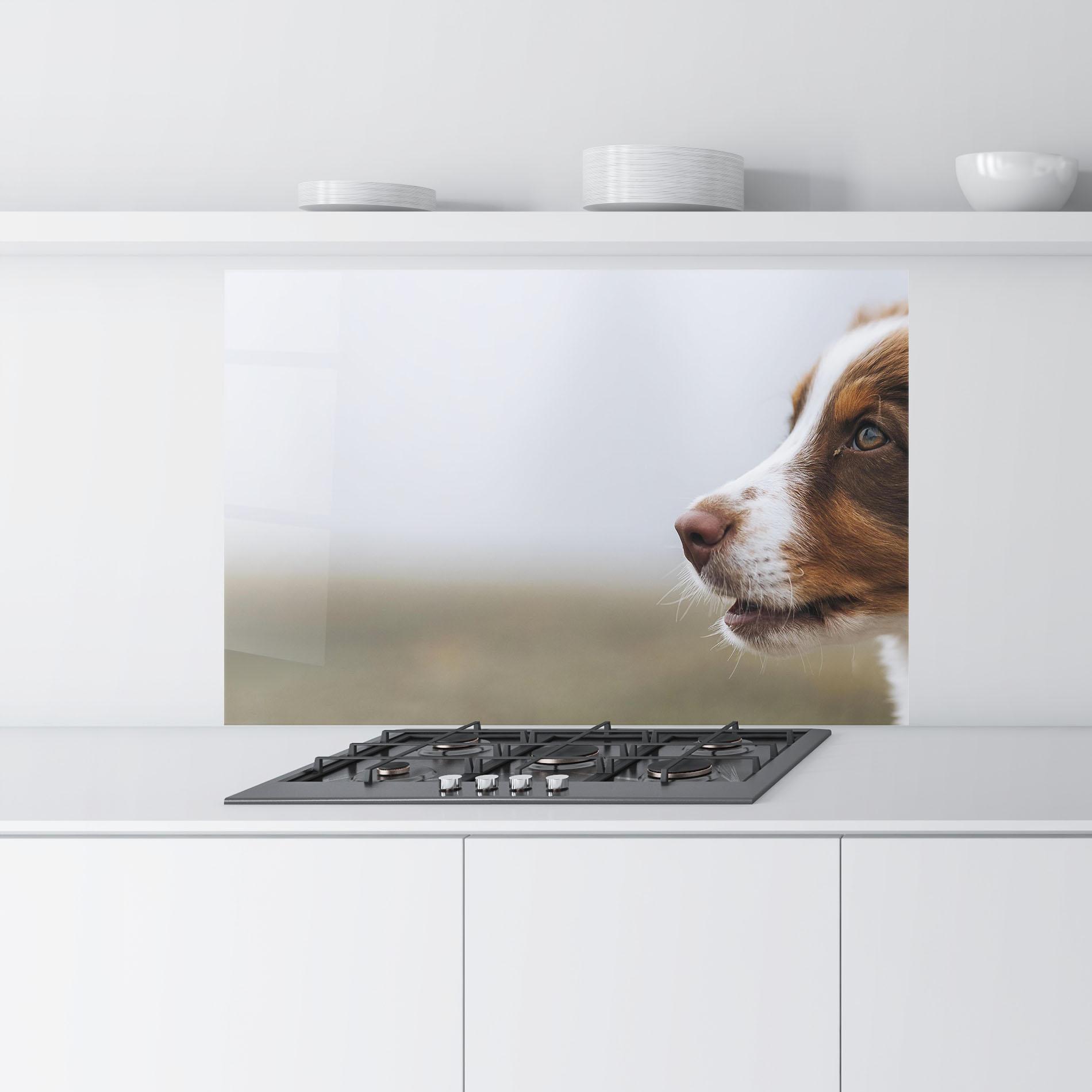 Küchenrückwand Glas Brown White Dog mockup 9