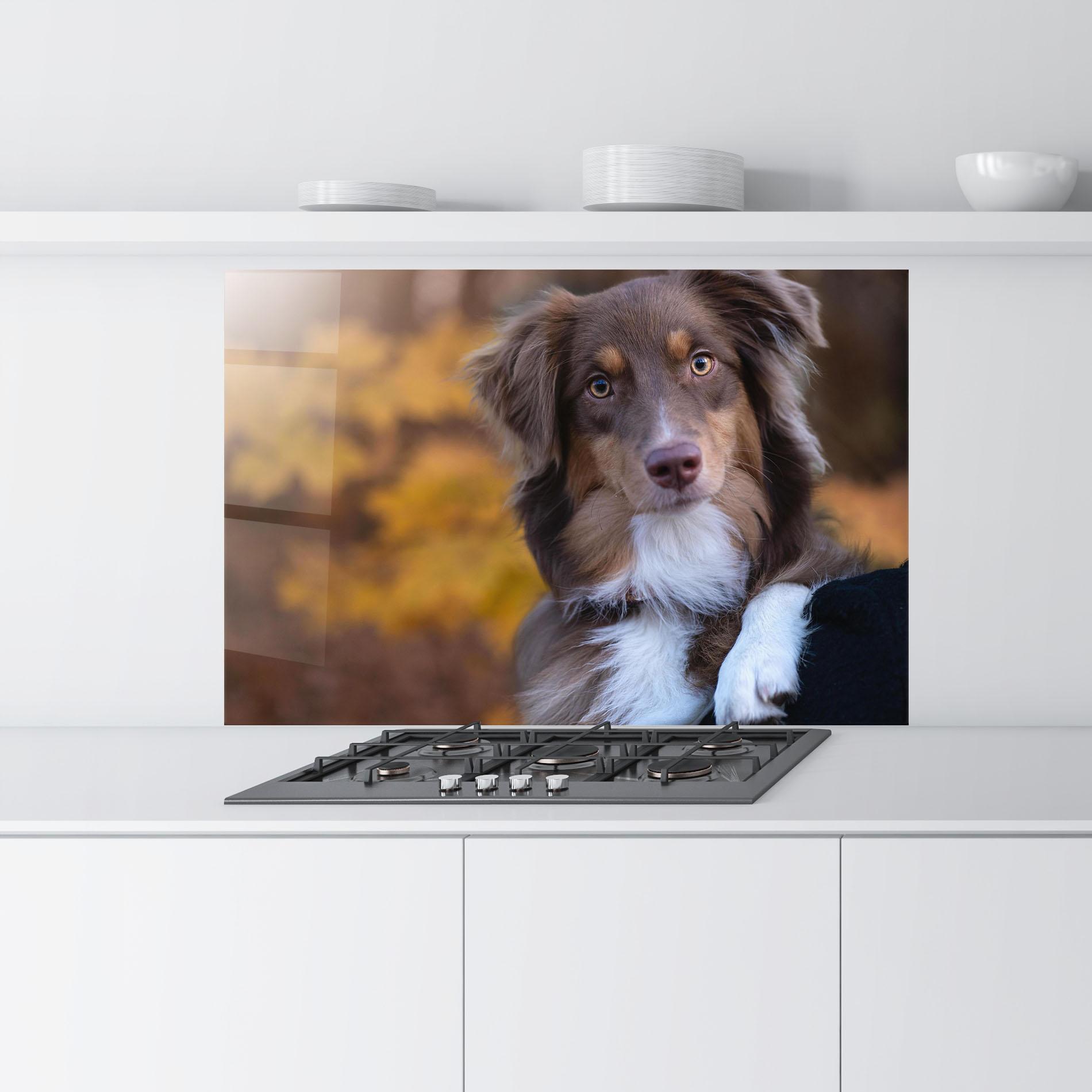 Küchenrückwand Glas Coffee Brown Dog mockup 9