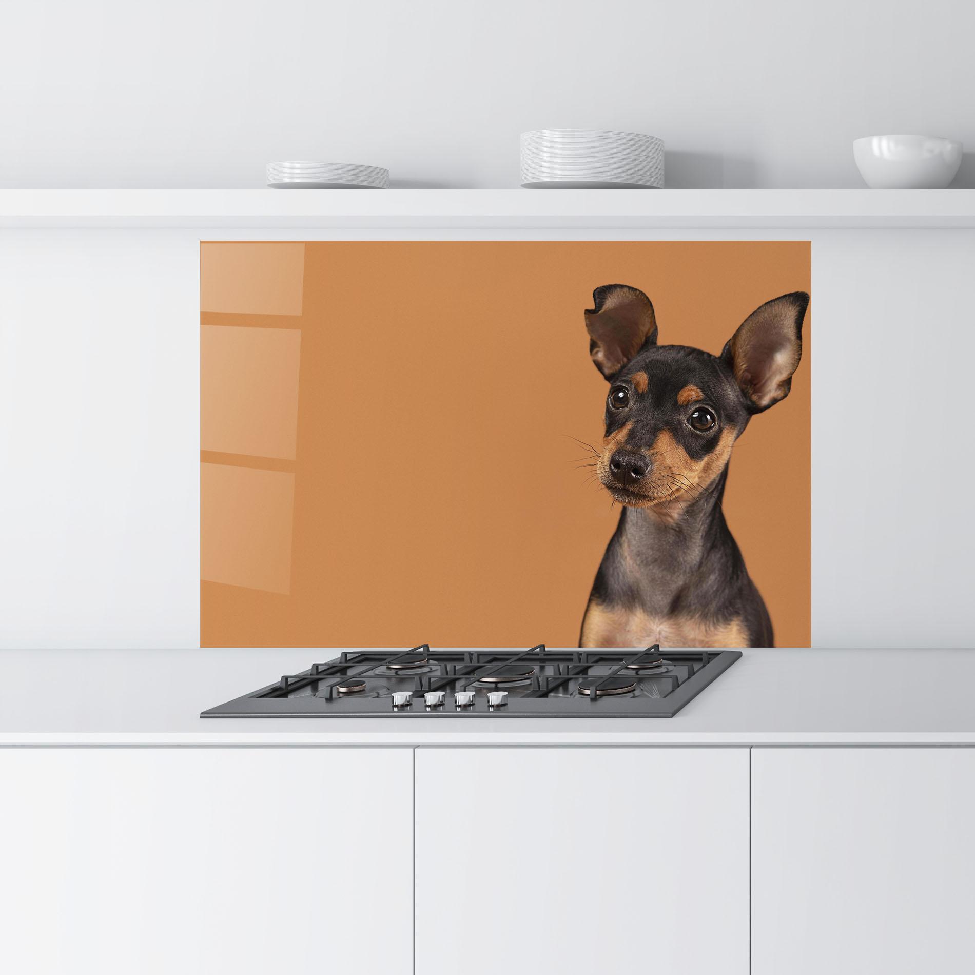 Küchenrückwand Glas Cute Dog Portrait mockup 9