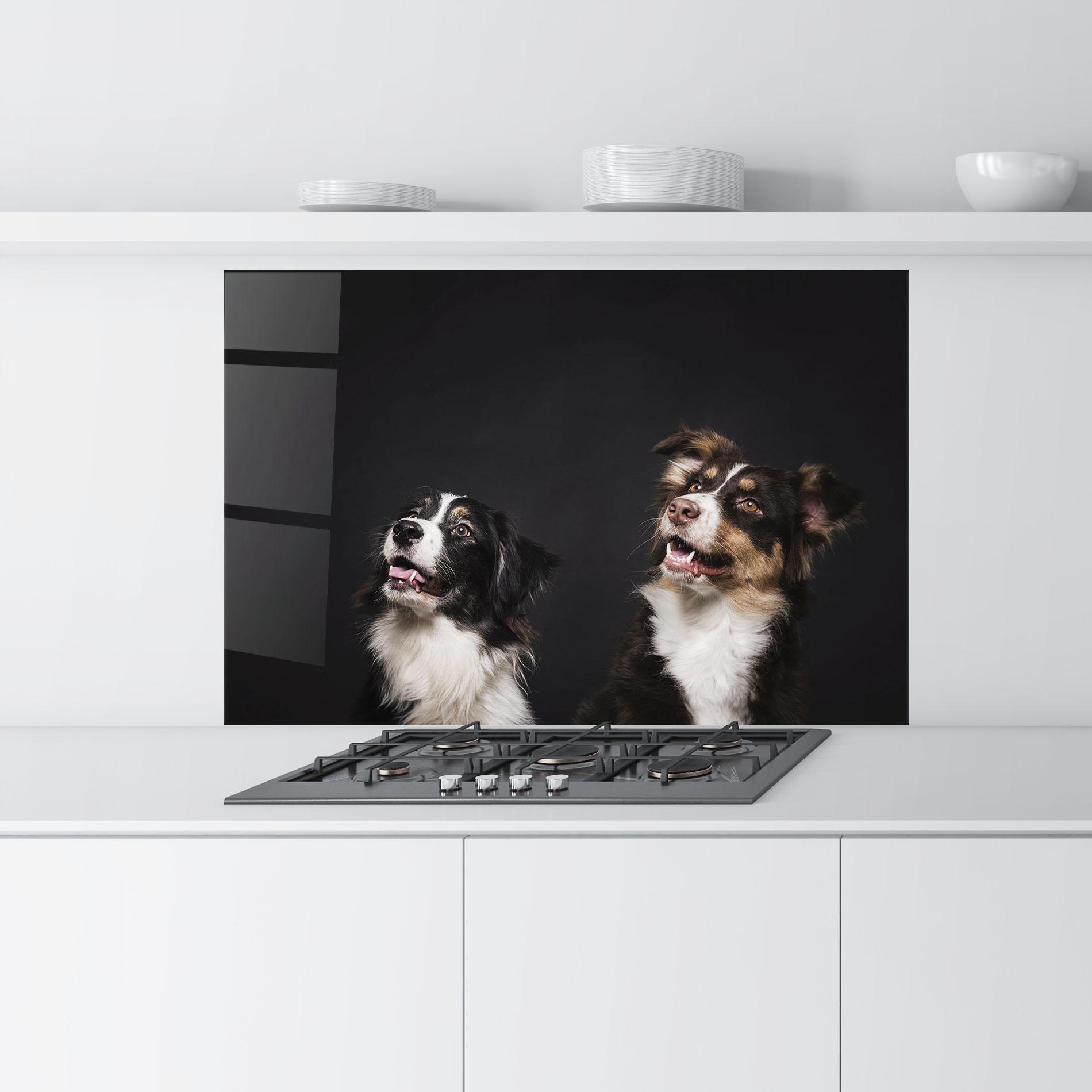 Küchenrückwand Glas Cute Dogs Standing mockup 9