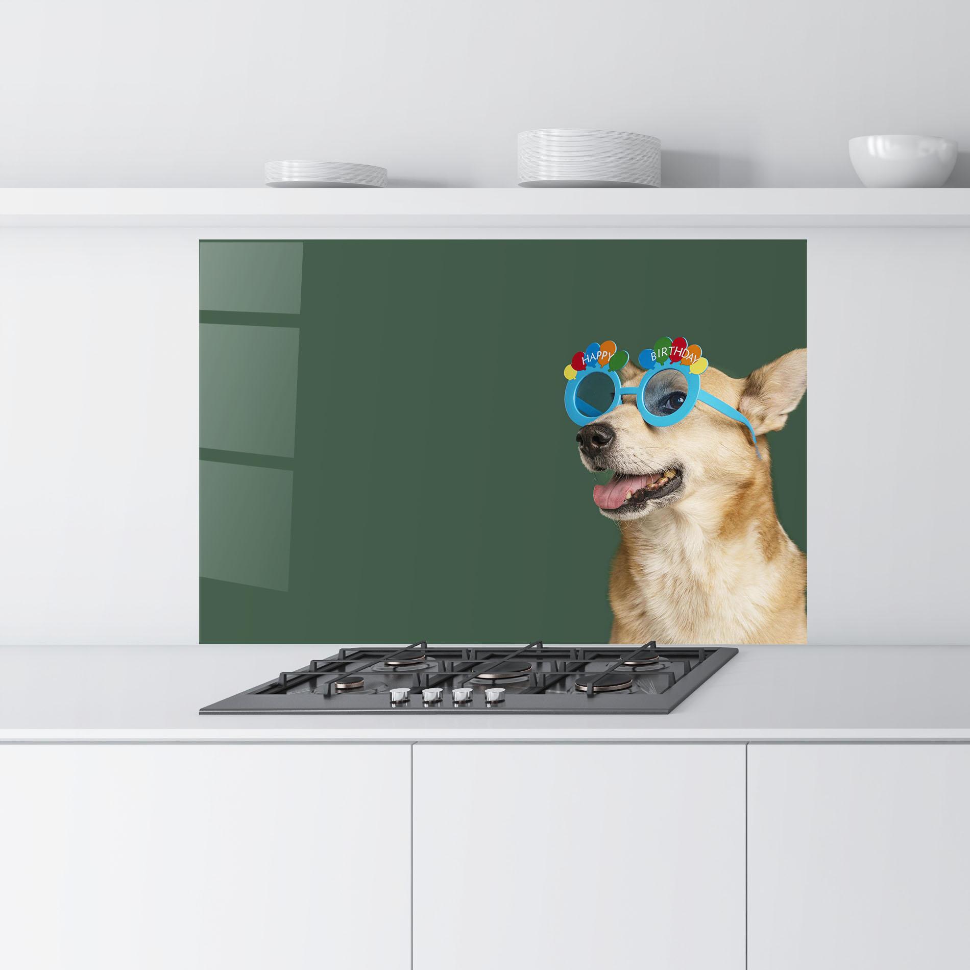 Küchenrückwand Glas Cute Glasses Dog mockup 9