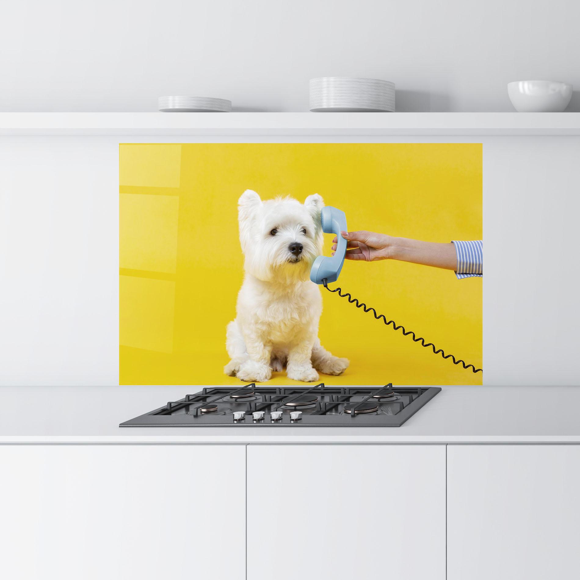Küchenrückwand Glas Cute Little Dog mockup 9