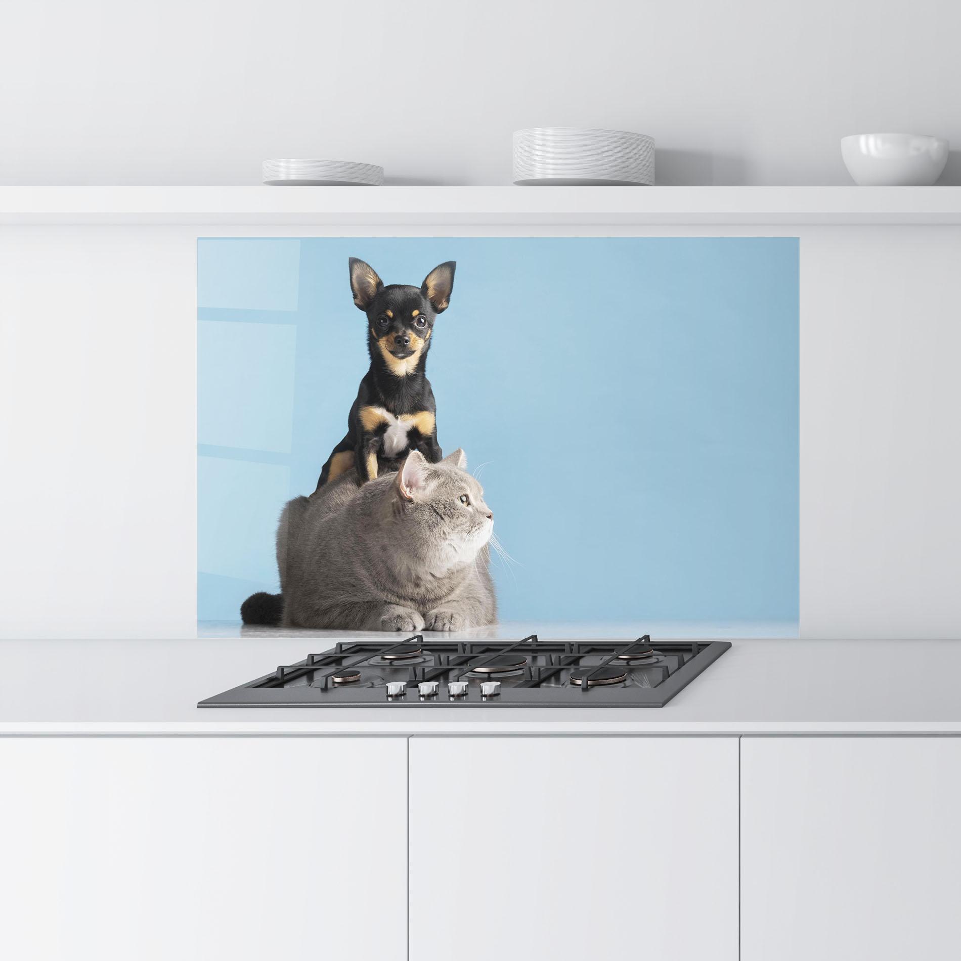 Küchenrückwand Glas Dog Grey Cat mockup 9