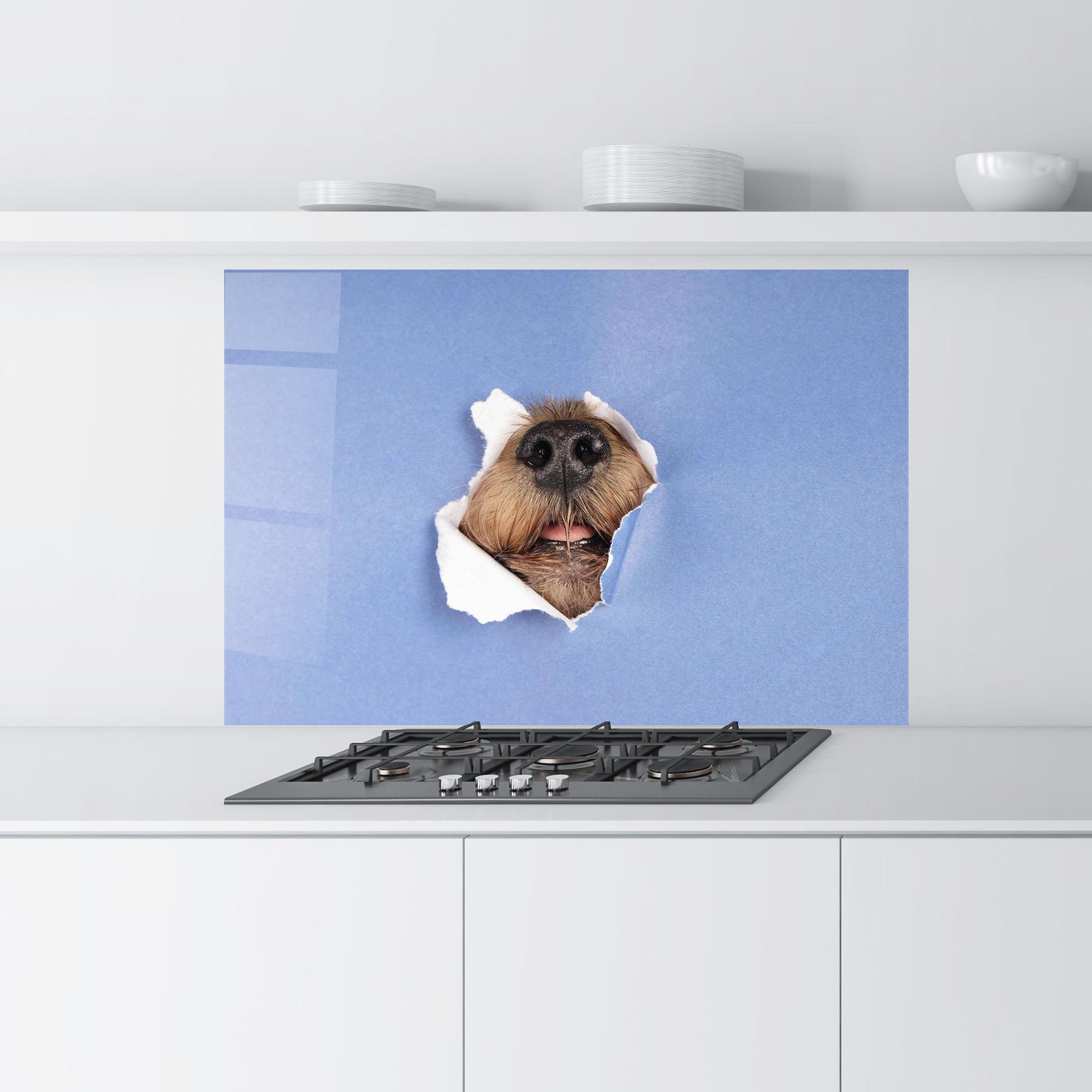 Küchenrückwand Glas Dog Small Nose mockup 9