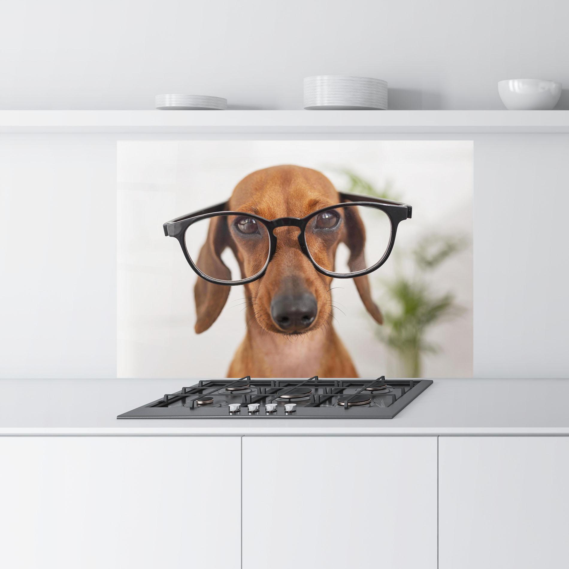 Küchenrückwand Glas Dog Wearing Glasses mockup 9