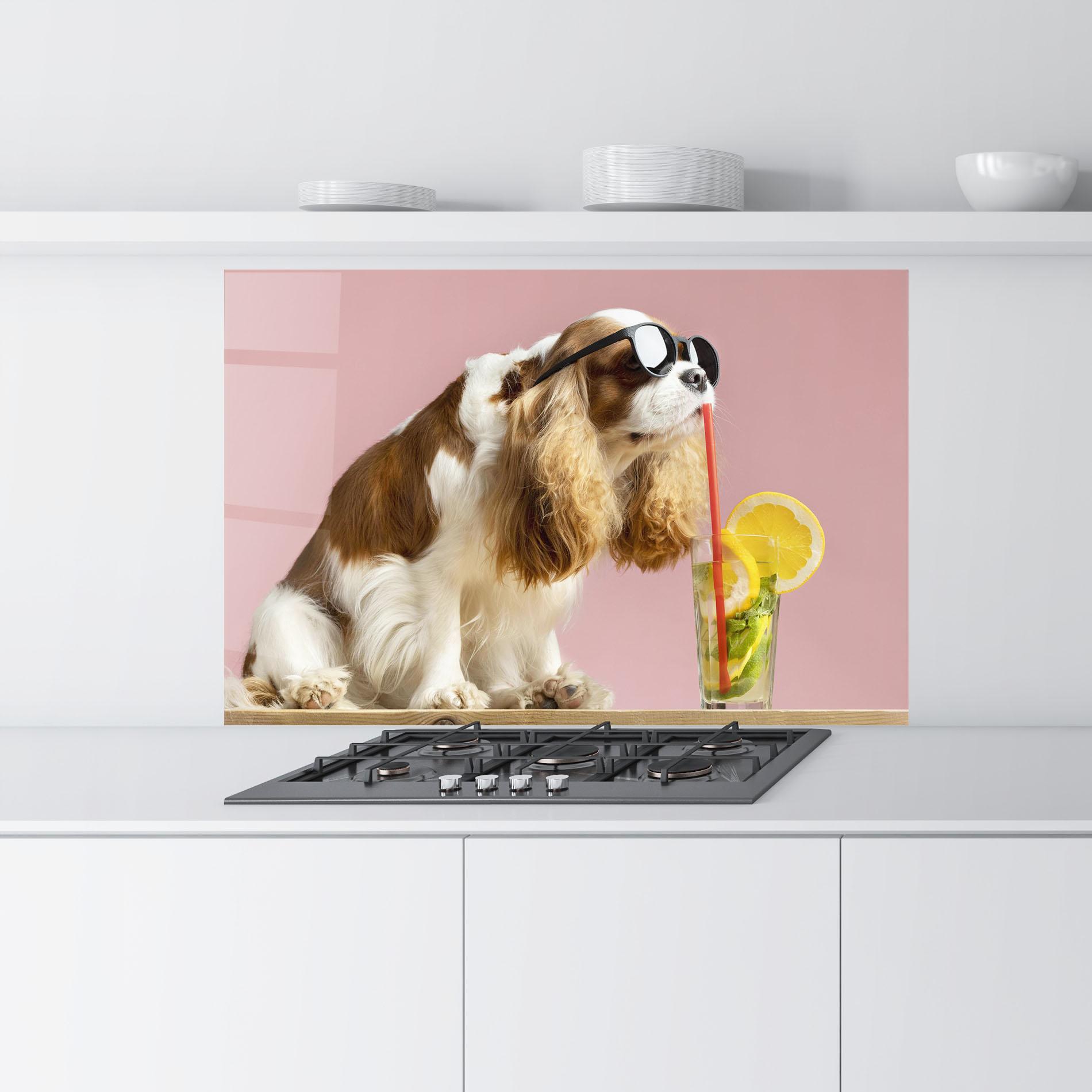 Küchenrückwand Glas Dog With Juice mockup 9