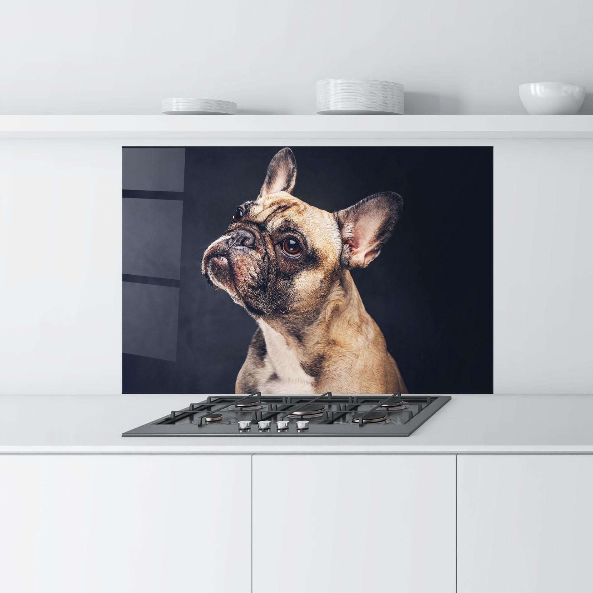 Küchenrückwand Glas Funny Face Dog mockup 9