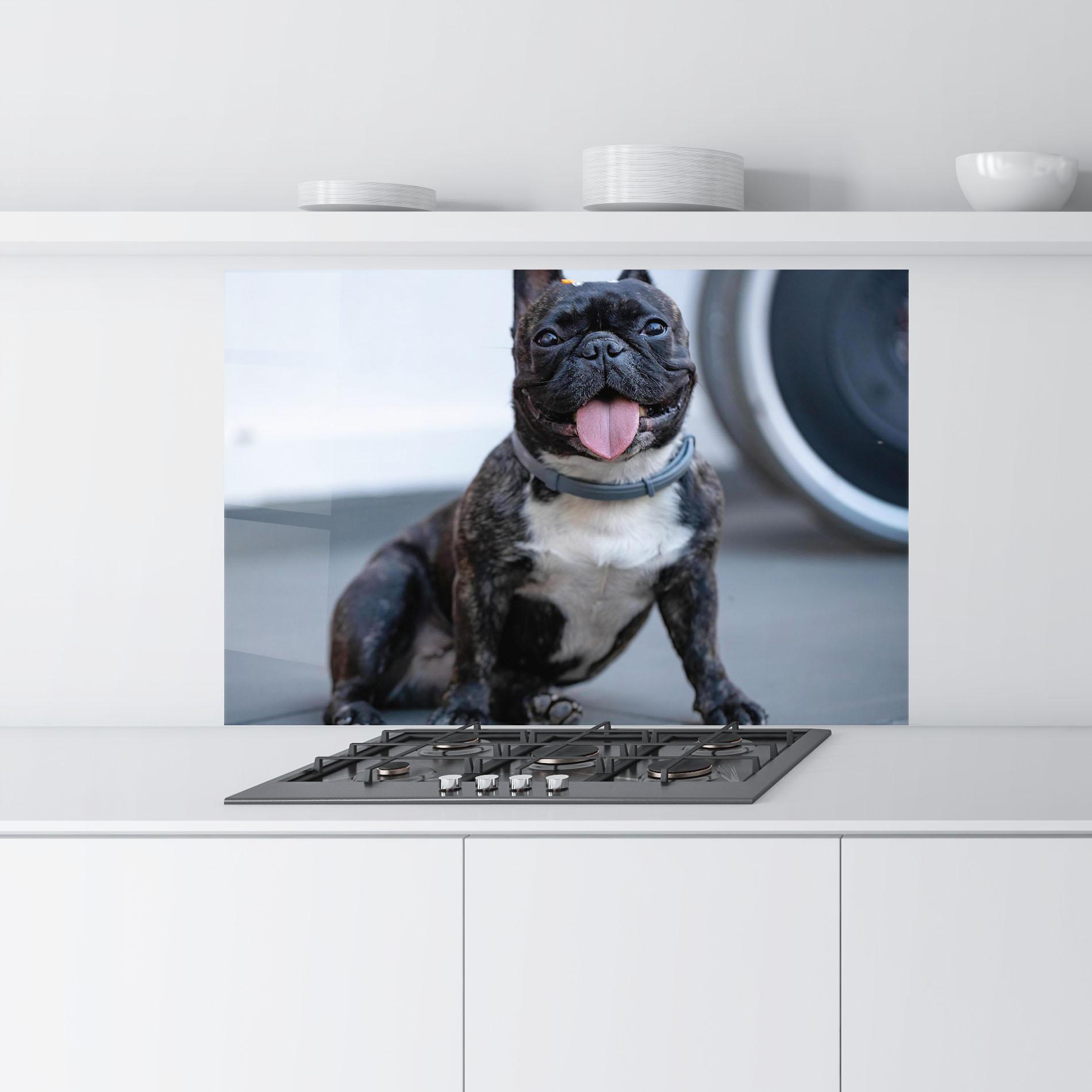 Küchenrückwand Glas Happy Black Dog mockup 9