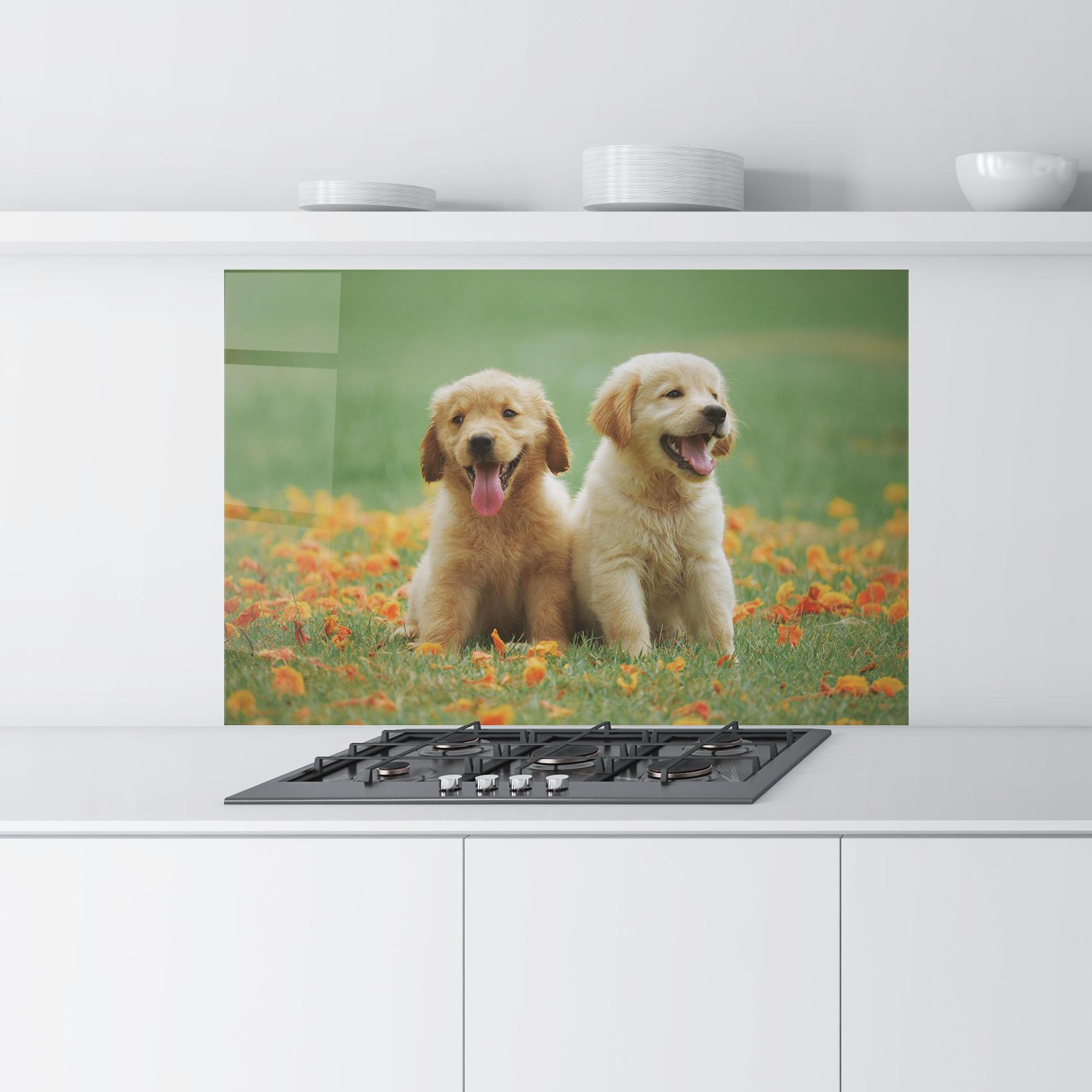 Küchenrückwand Glas Happy Dogs mockup 9