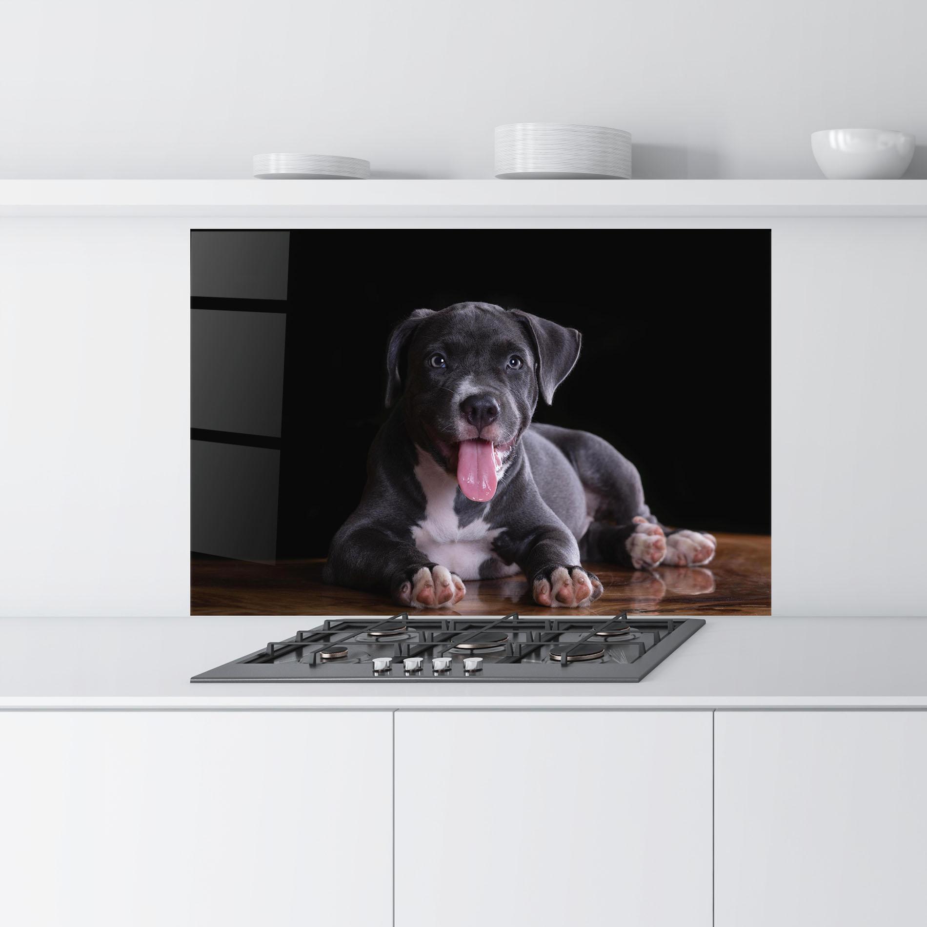 Küchenrückwand Glas Terrier Puppy mockup 9
