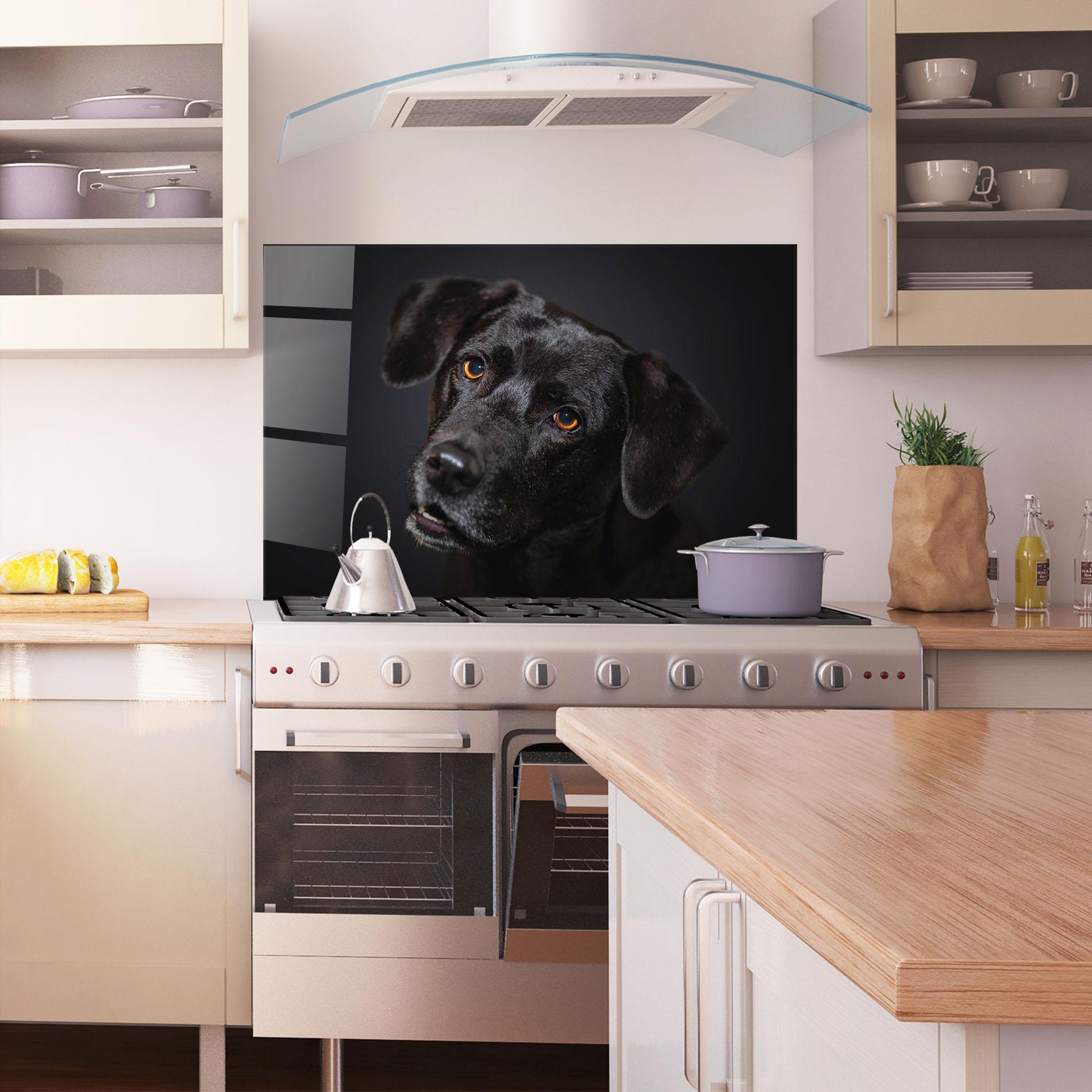 Küchenrückwand Glas Black Dog Portrait mockup 1