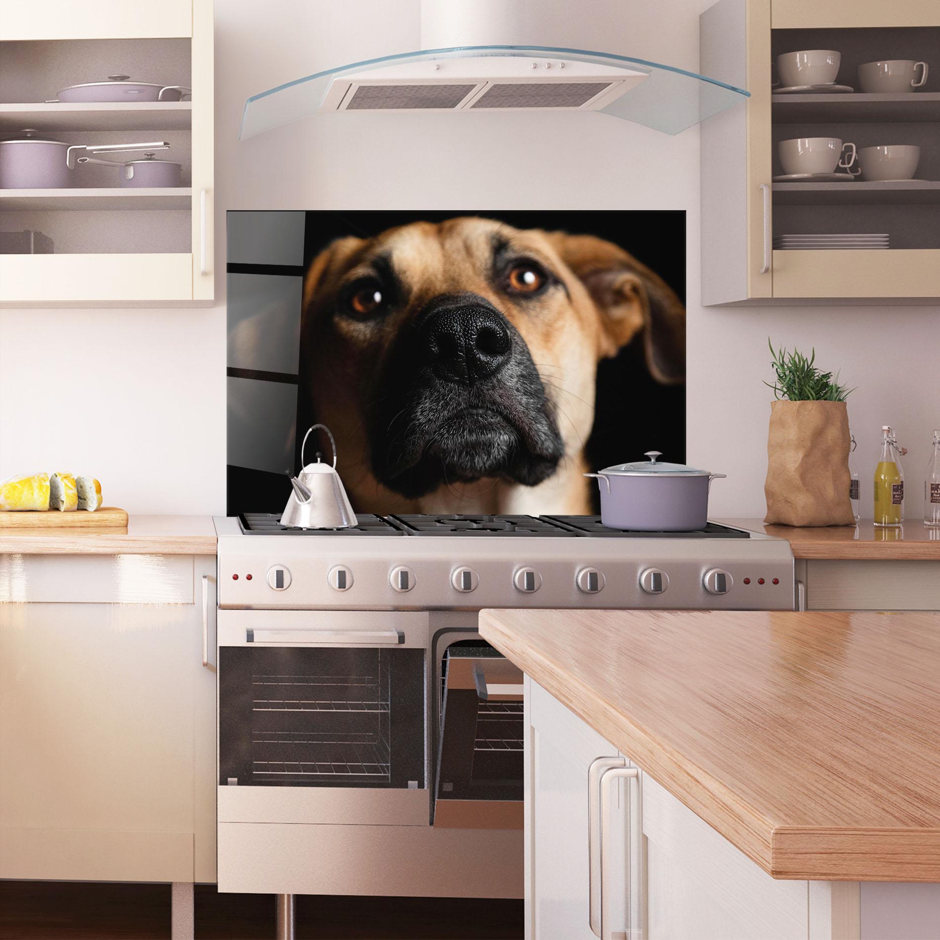 Küchenrückwand Glas Black Nose Dog mockup 1