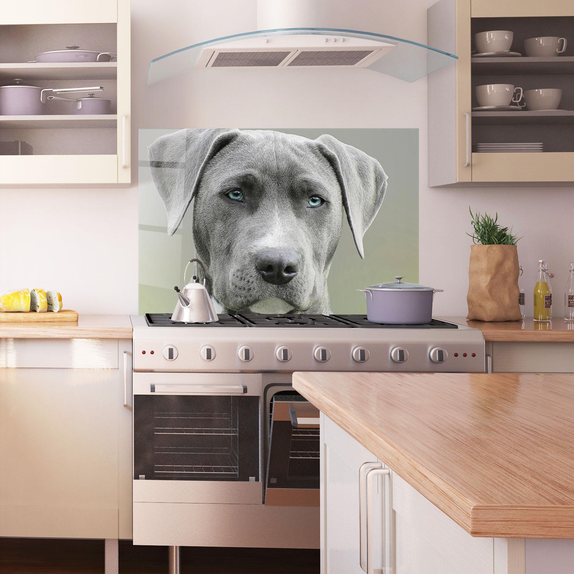Küchenrückwand Glas Blue Eyes Dog mockup 1