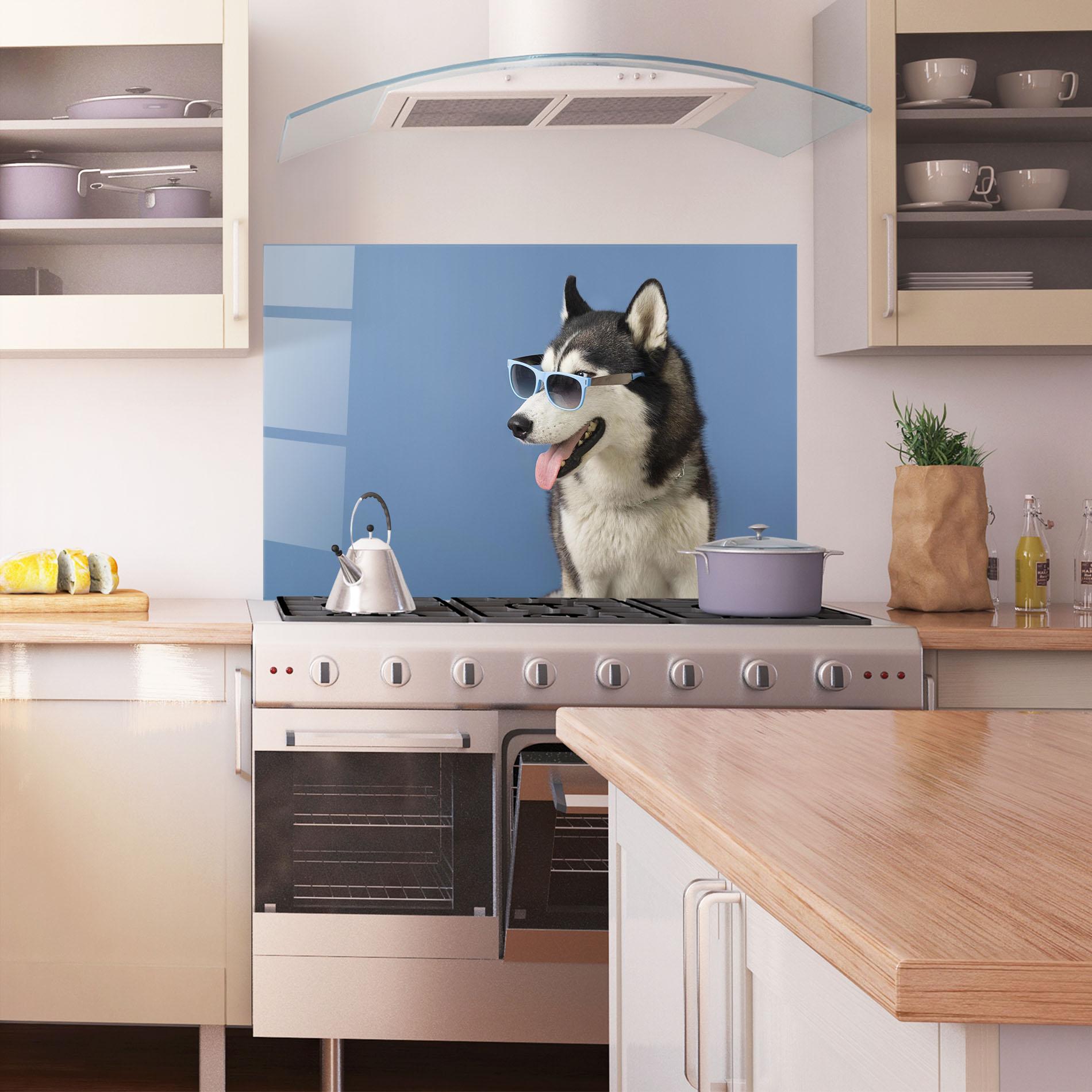 Küchenrückwand Glas Blue Glasses Dog mockup 1