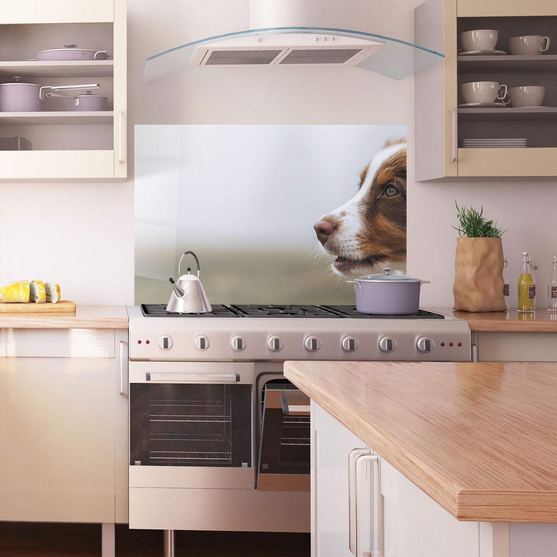Küchenrückwand Glas Brown White Dog mockup 1
