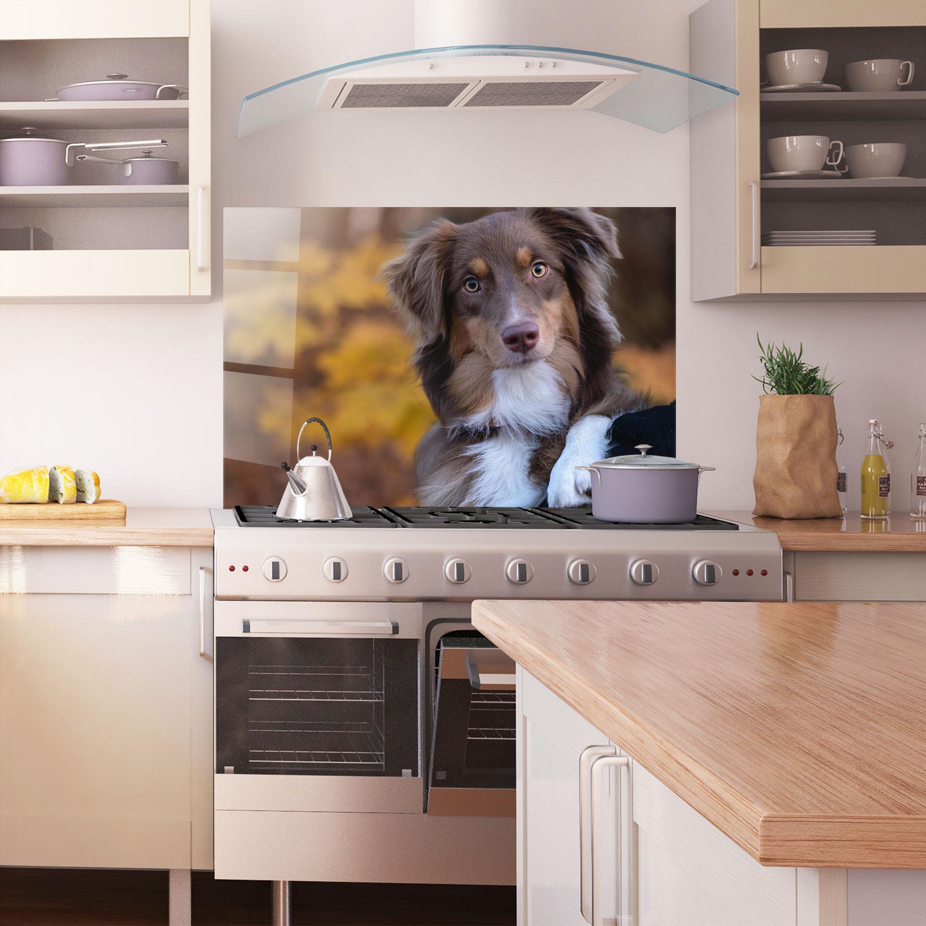 Küchenrückwand Glas Coffee Brown Dog mockup 1