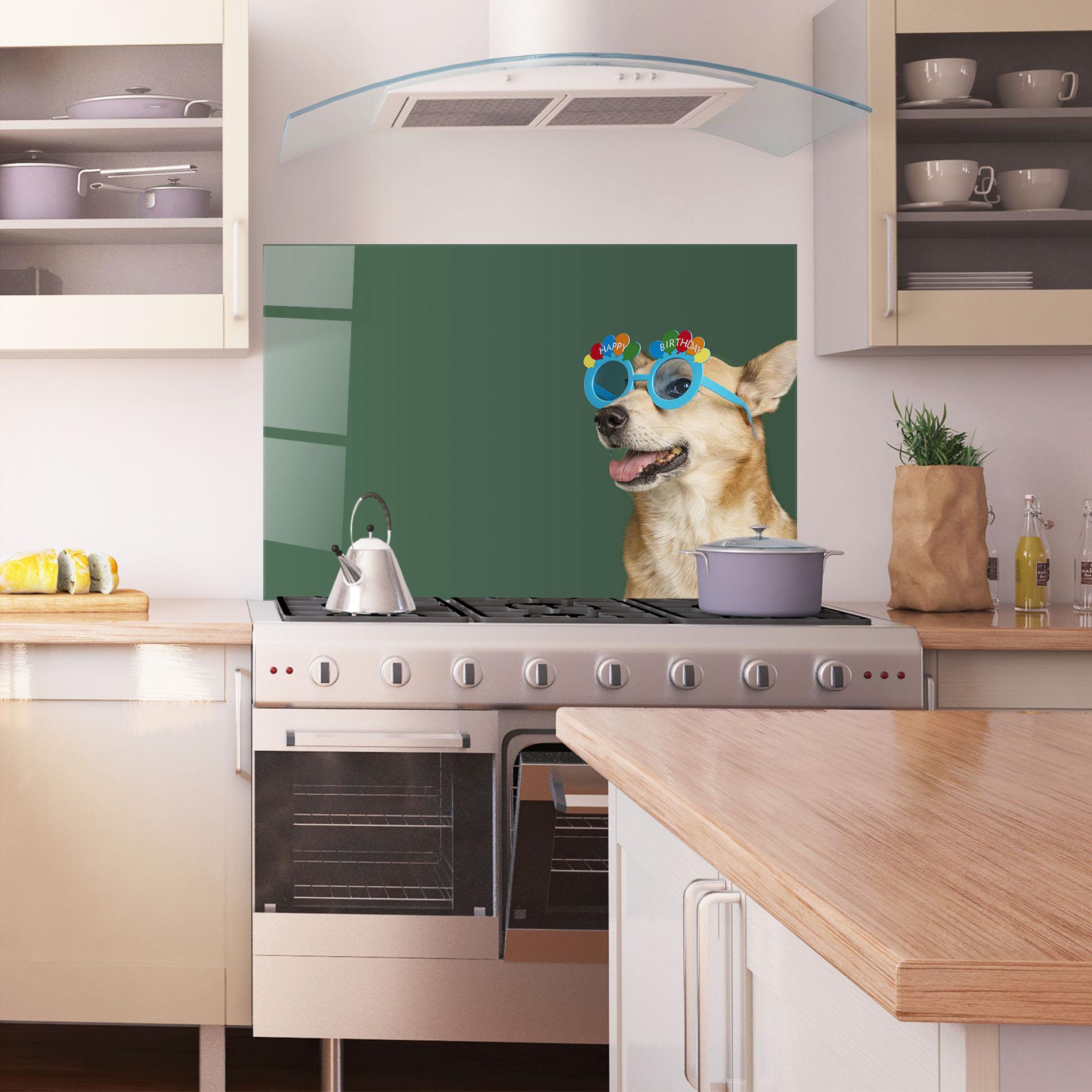 Küchenrückwand Glas Cute Glasses Dog mockup 1