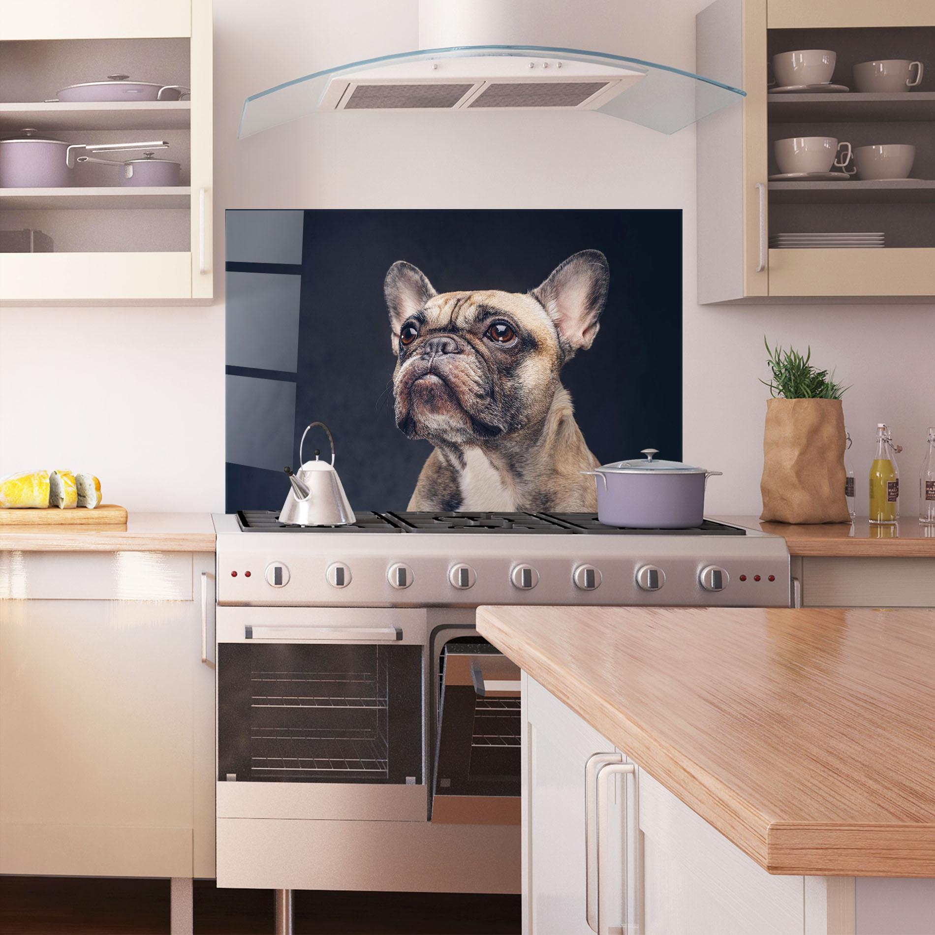 Küchenrückwand Glas Dog Looking Up mockup 1